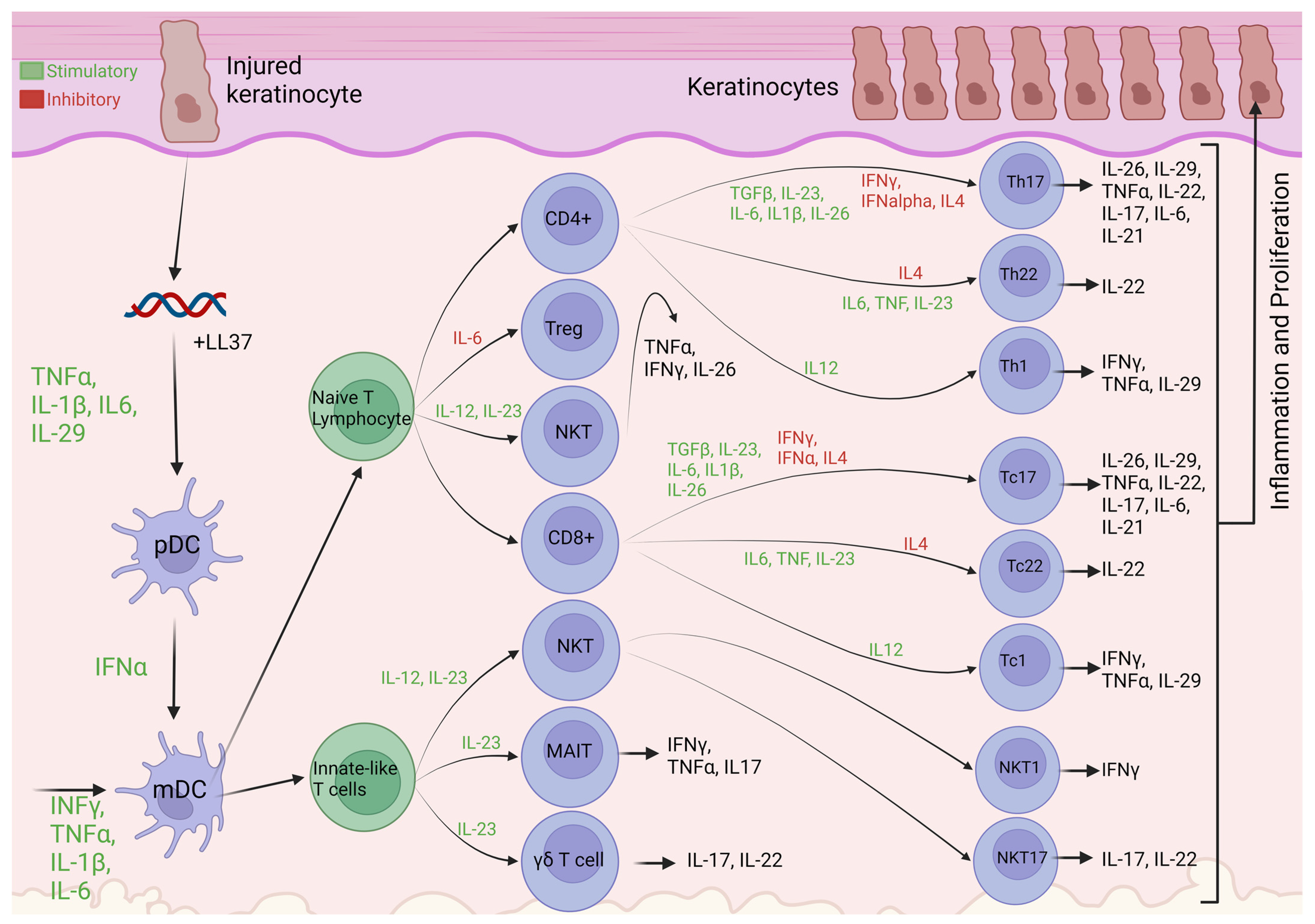 Biomolecules 14 00548 g001