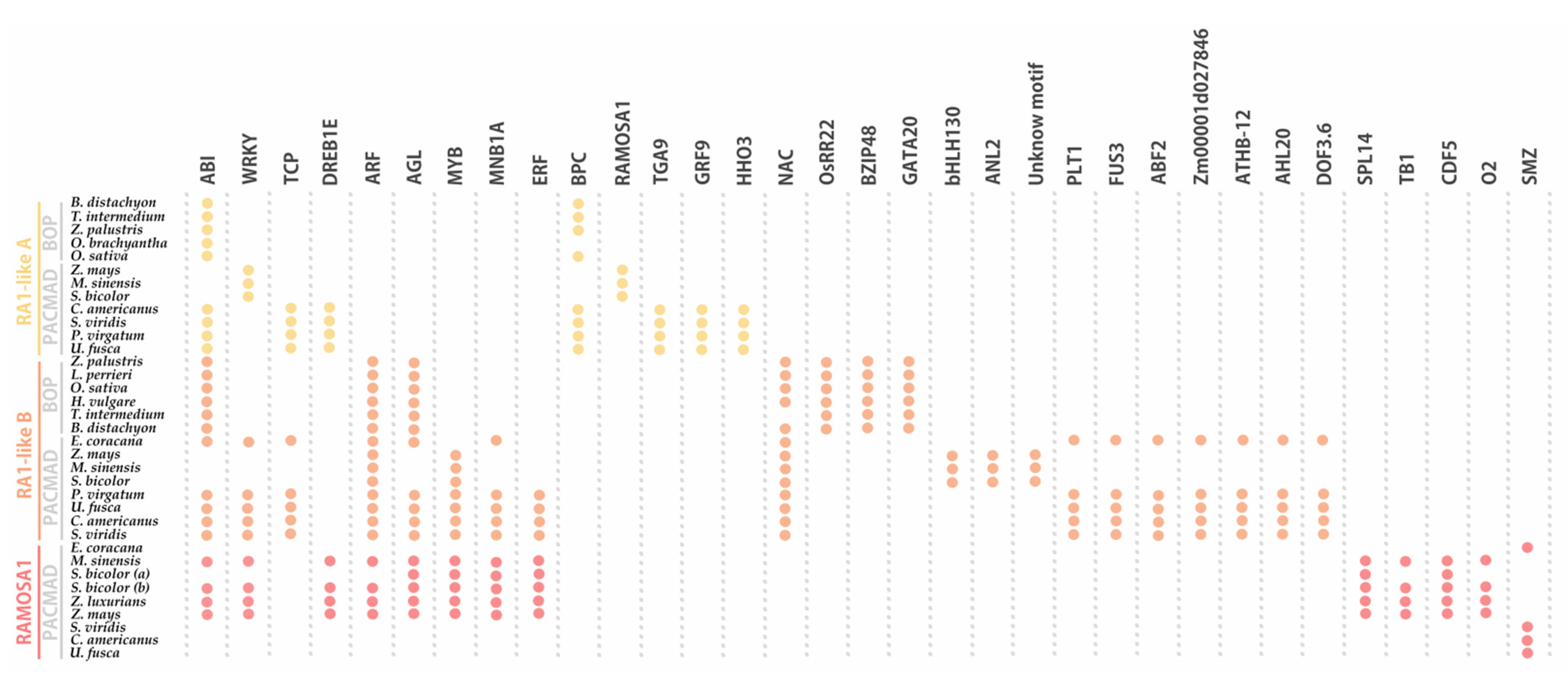 Biomolecules 14 00550 g006