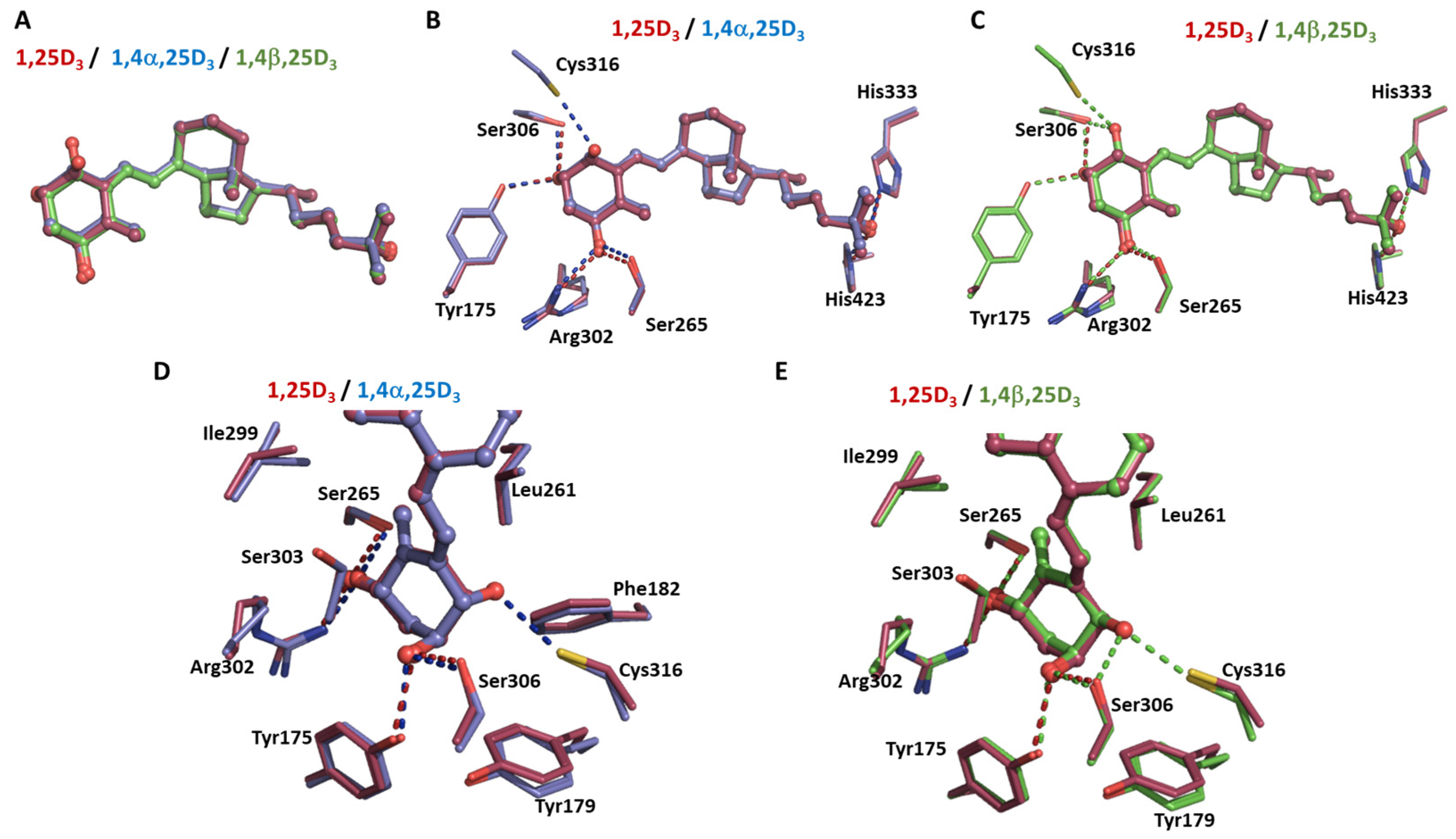 Biomolecules 14 00551 g006