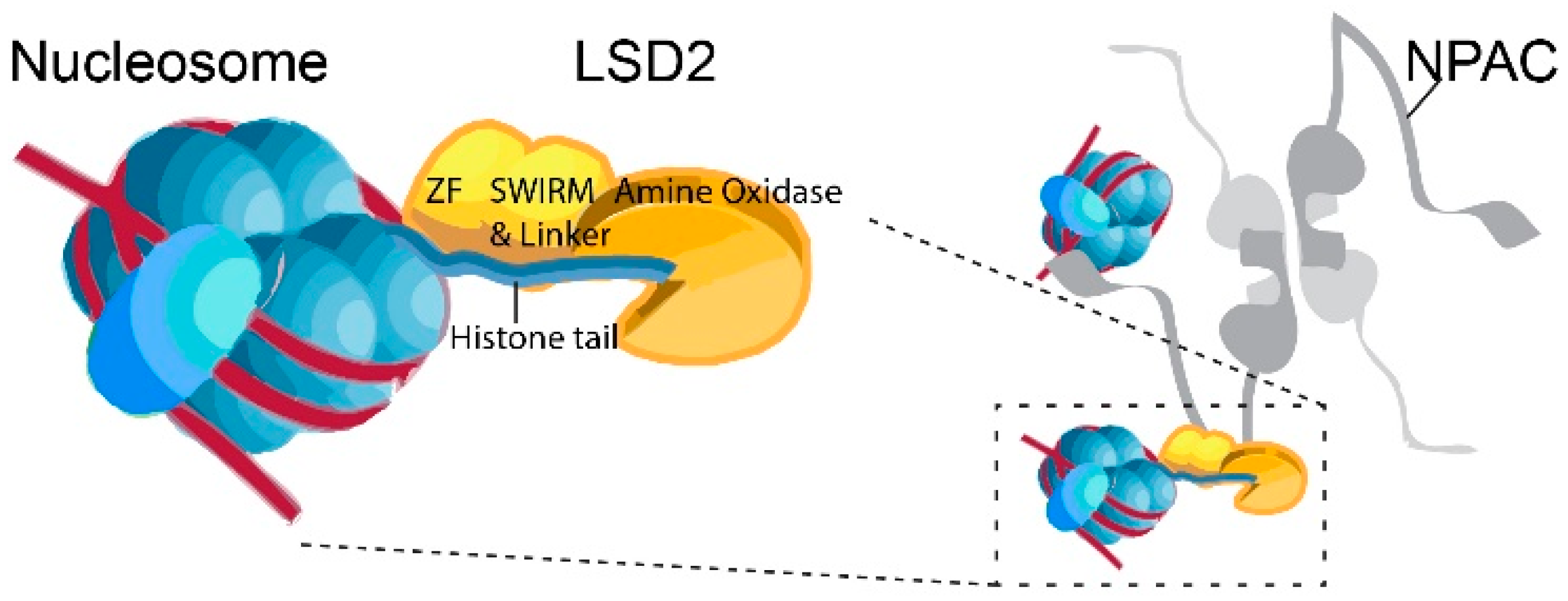 Biomolecules 14 00553 g003