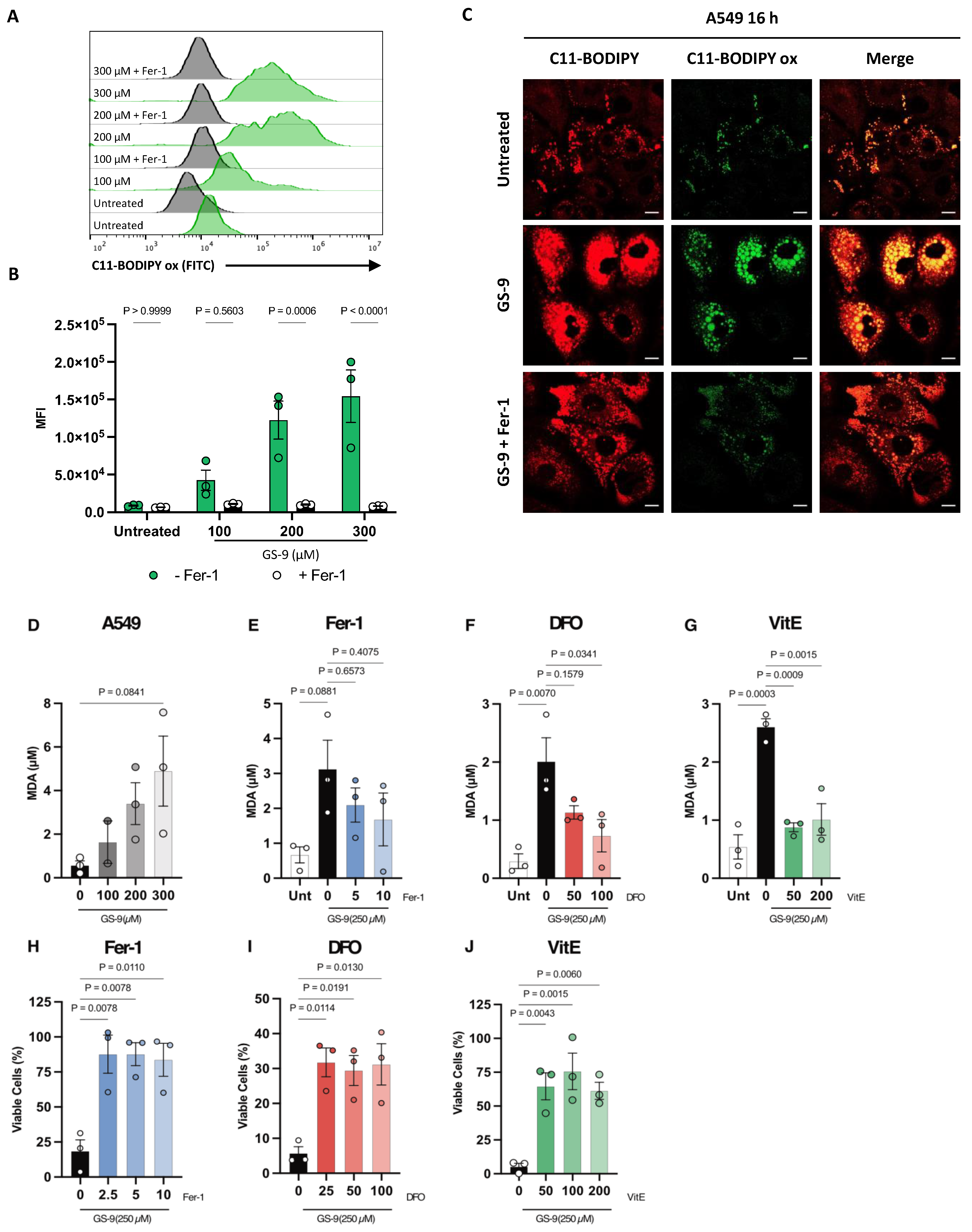 Biomolecules 14 00555 g003