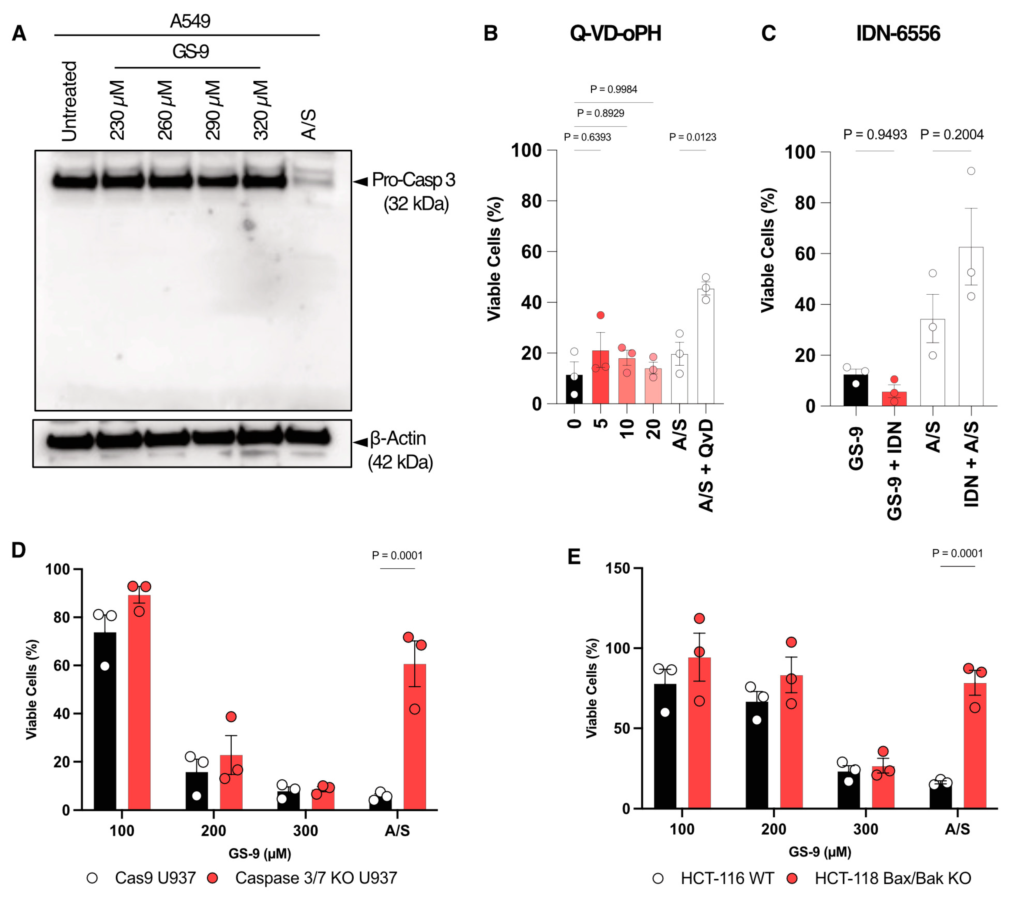 Biomolecules 14 00555 g004
