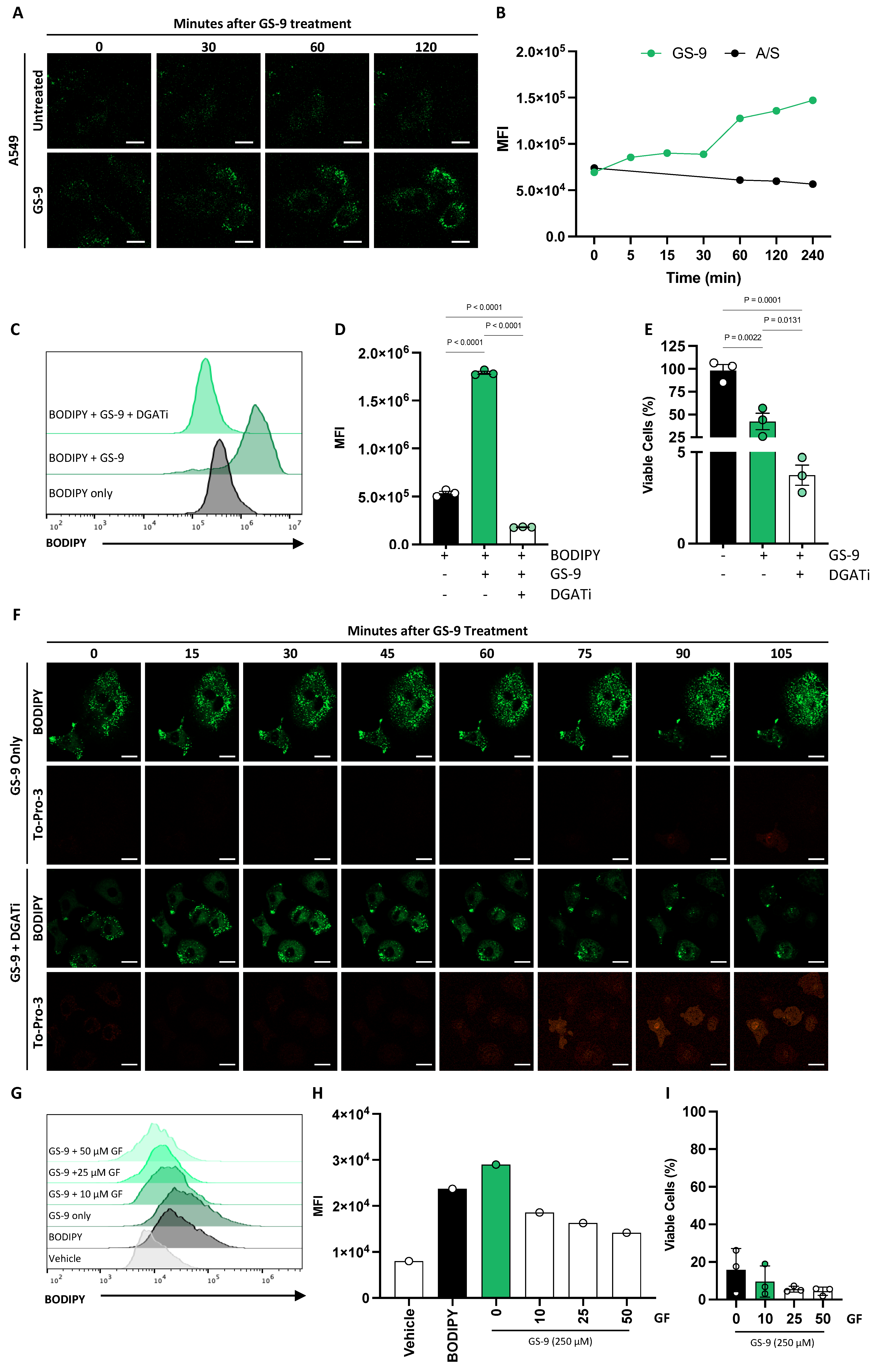 Biomolecules 14 00555 g006