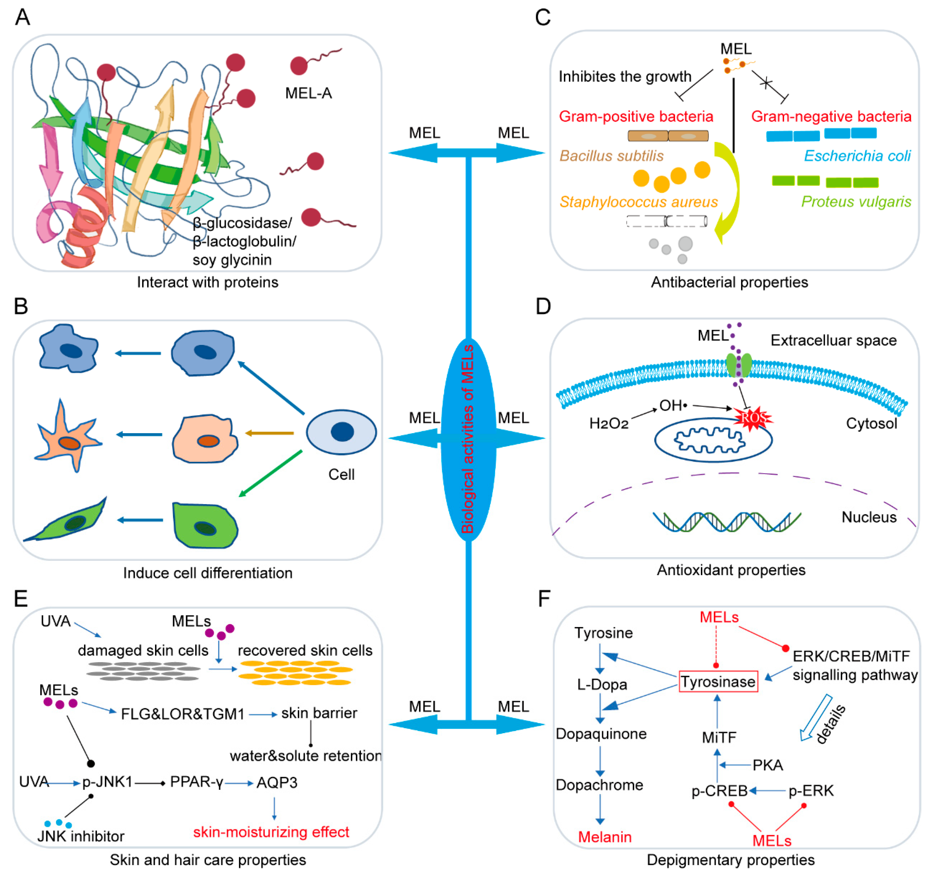 Biomolecules 14 00557 g002 Biomolecules 14 00557 g002
