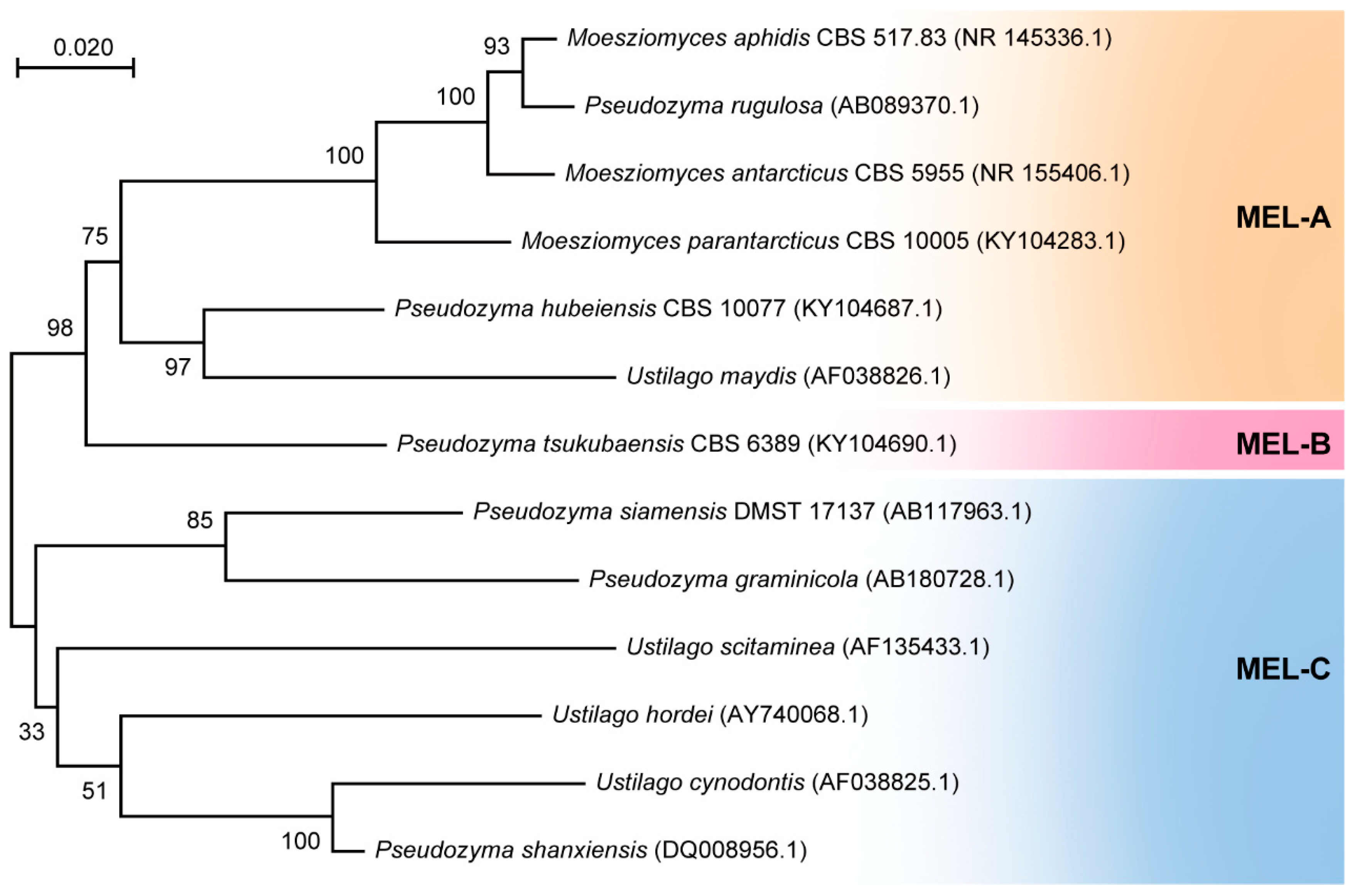 Biomolecules 14 00557 g003 Biomolecules 14 00557 g003