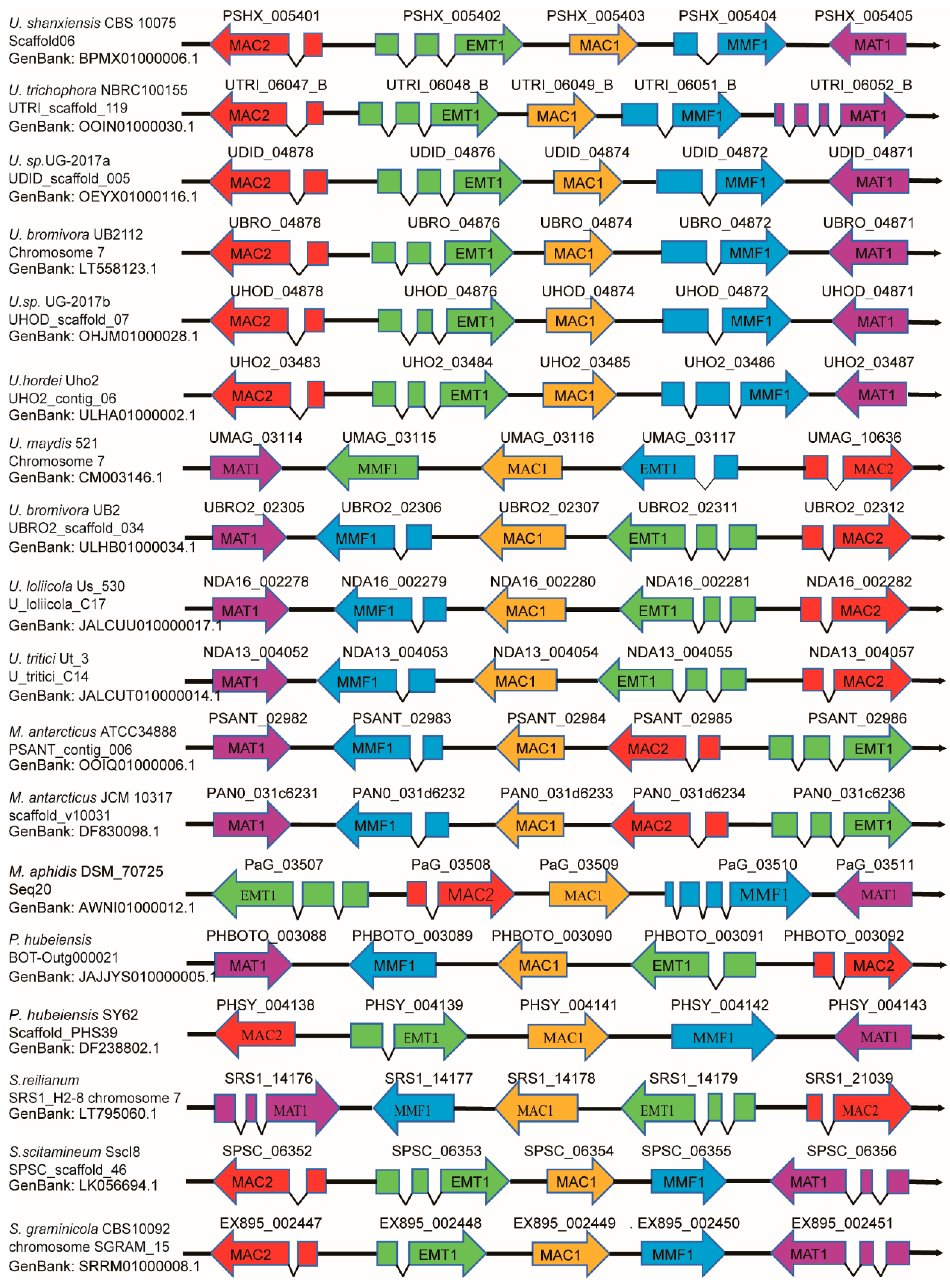 Biomolecules 14 00557 g005 Biomolecules 14 00557 g005