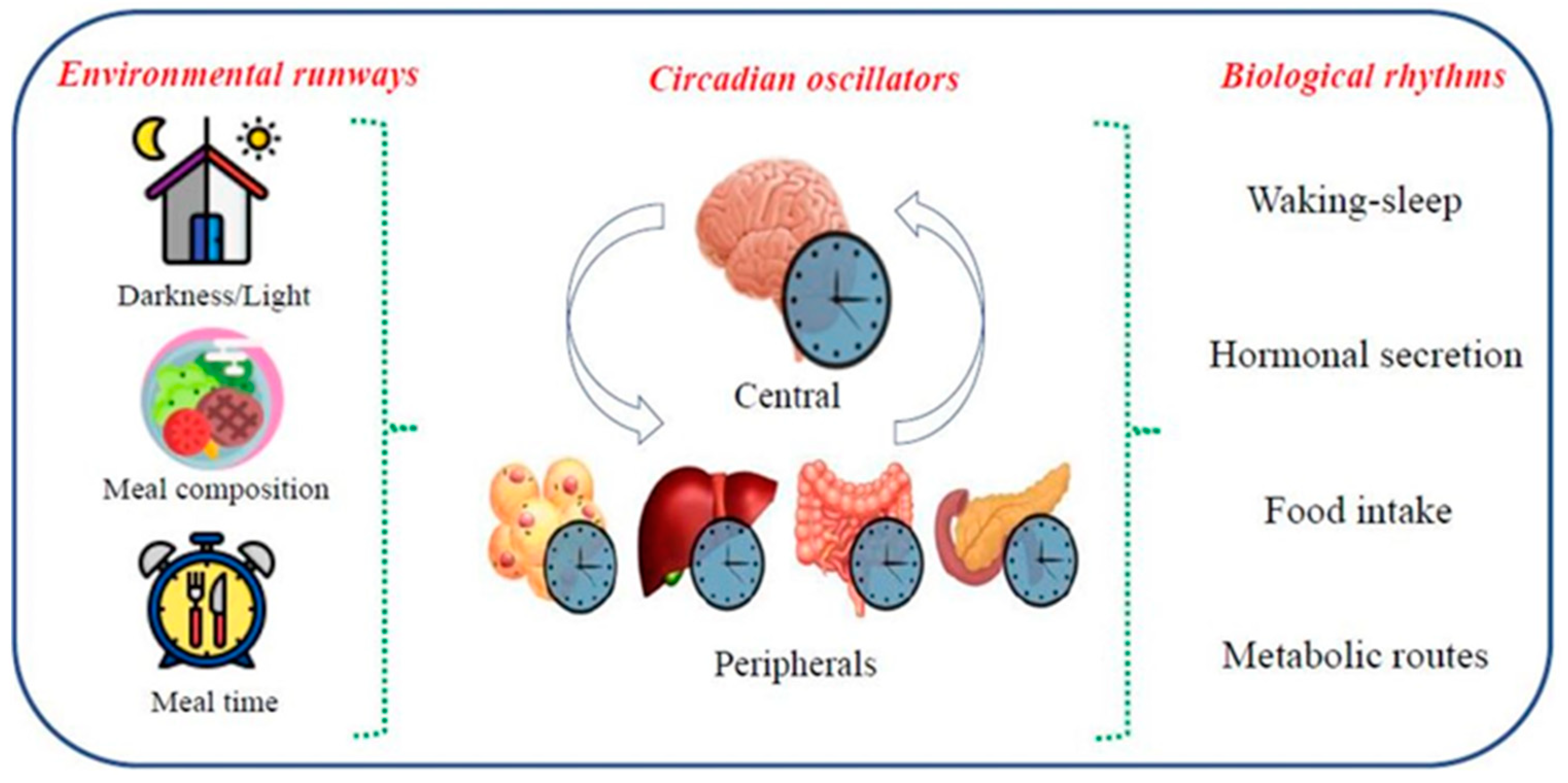Biomolecules 14 00559 g002