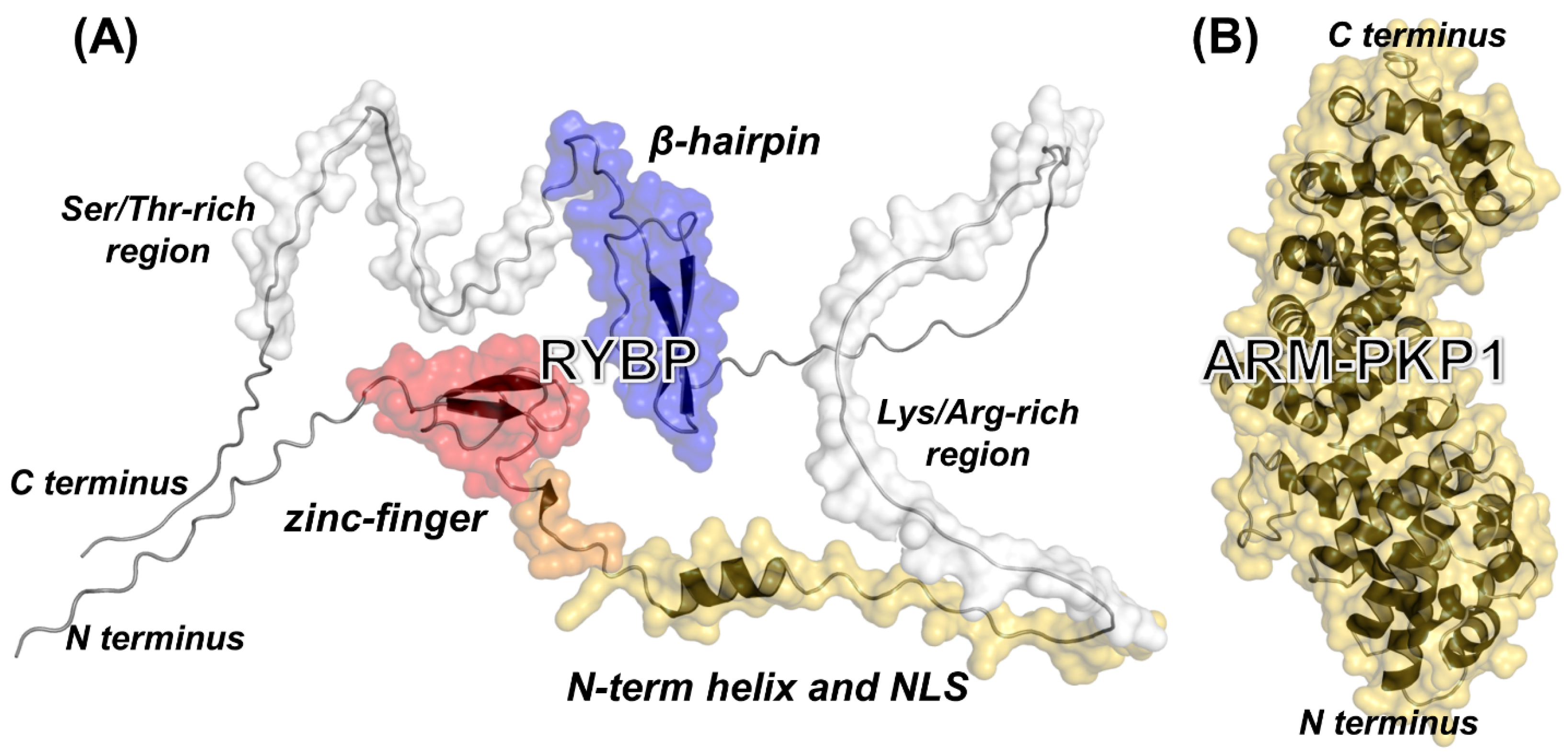 Biomolecules 14 00561 g001