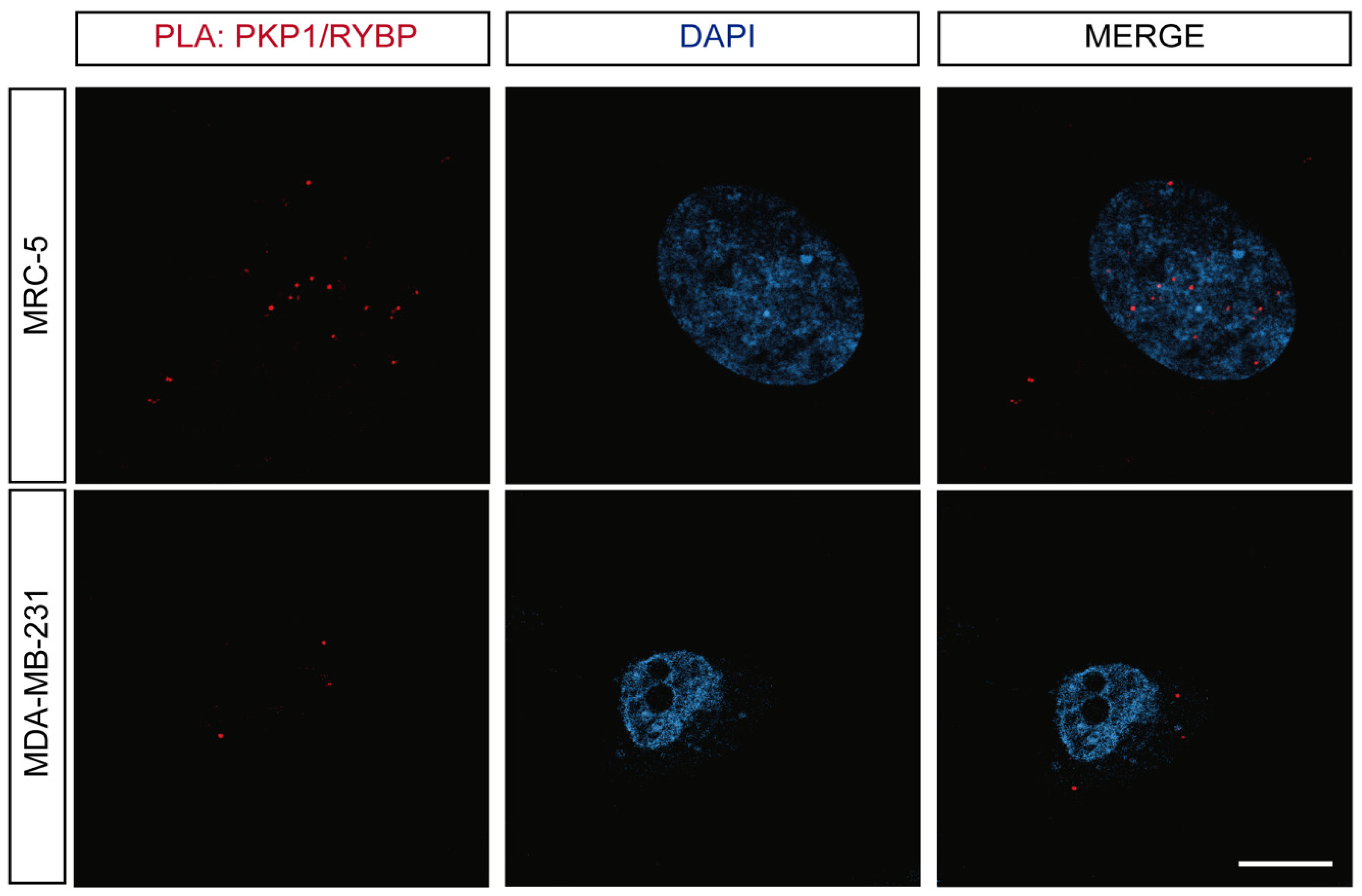 Biomolecules 14 00561 g002