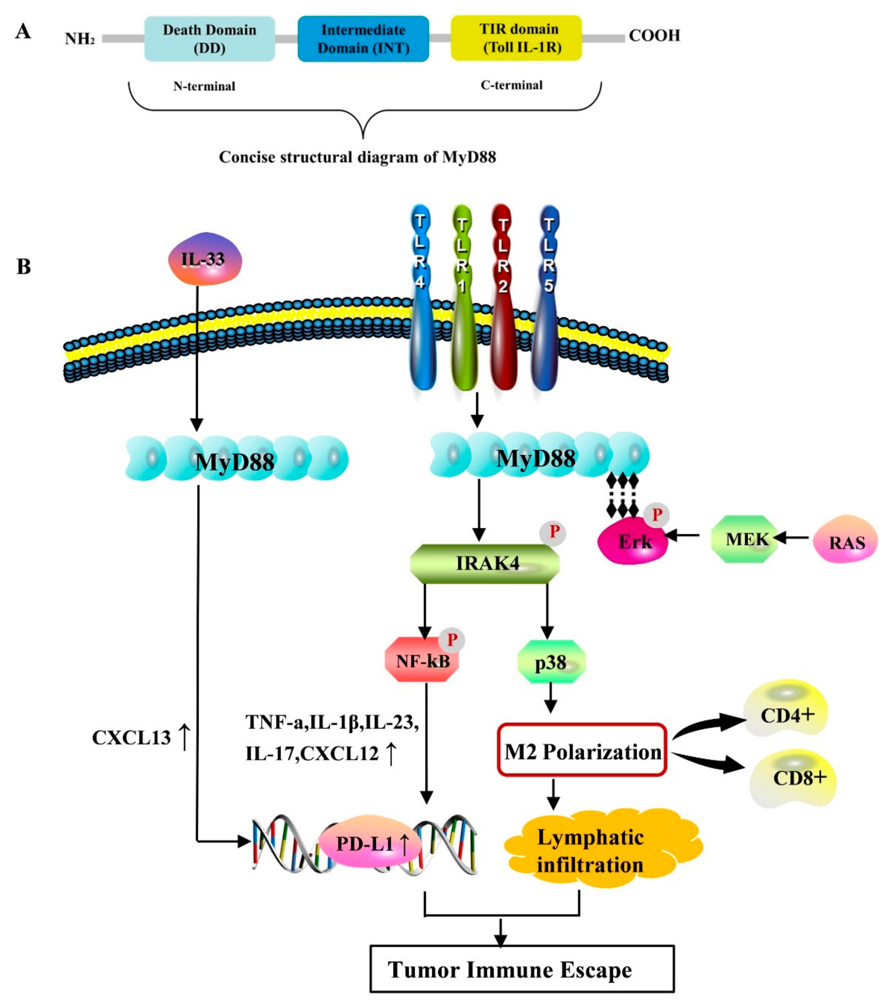 Biomolecules 14 00562 g001