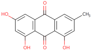 Biomolecules 14 00562 i010