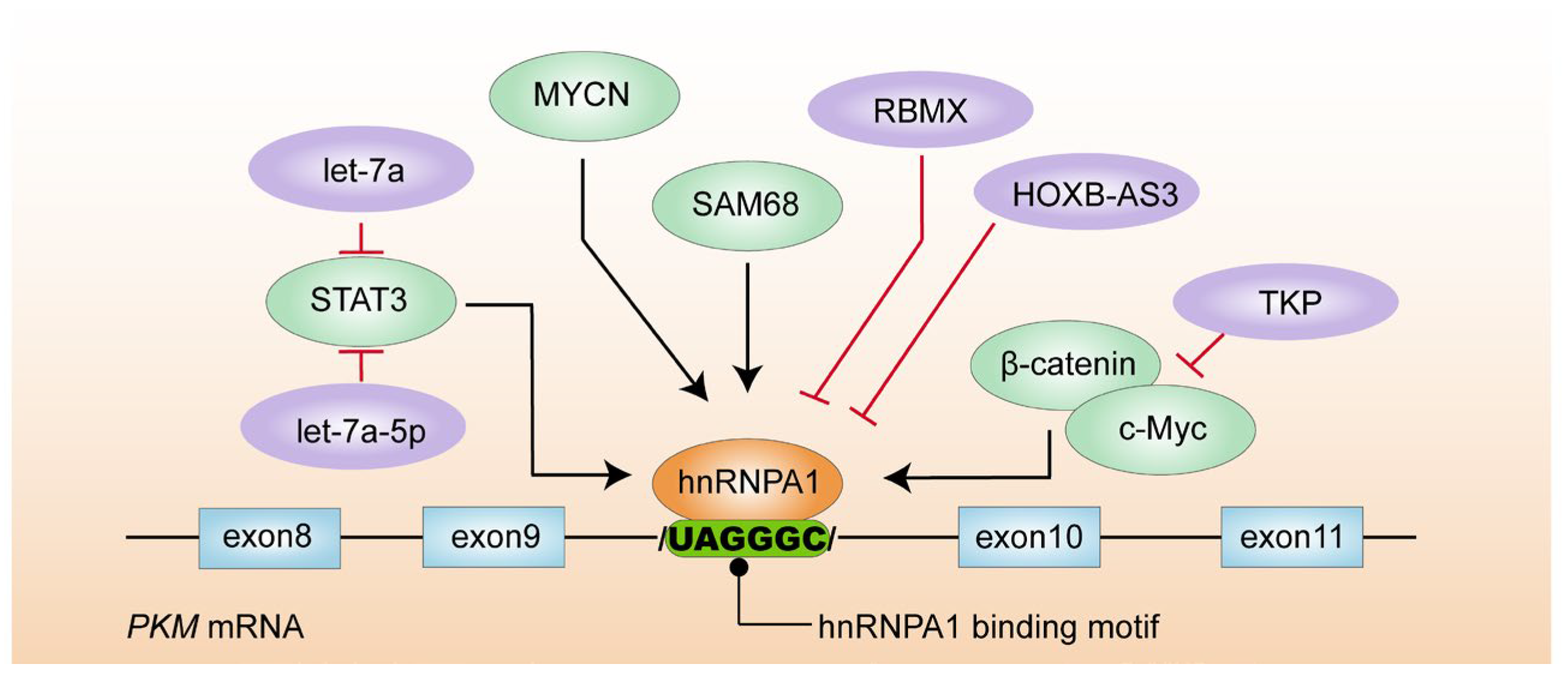Biomolecules 14 00566 g002 Biomolecules 14 00566 g002