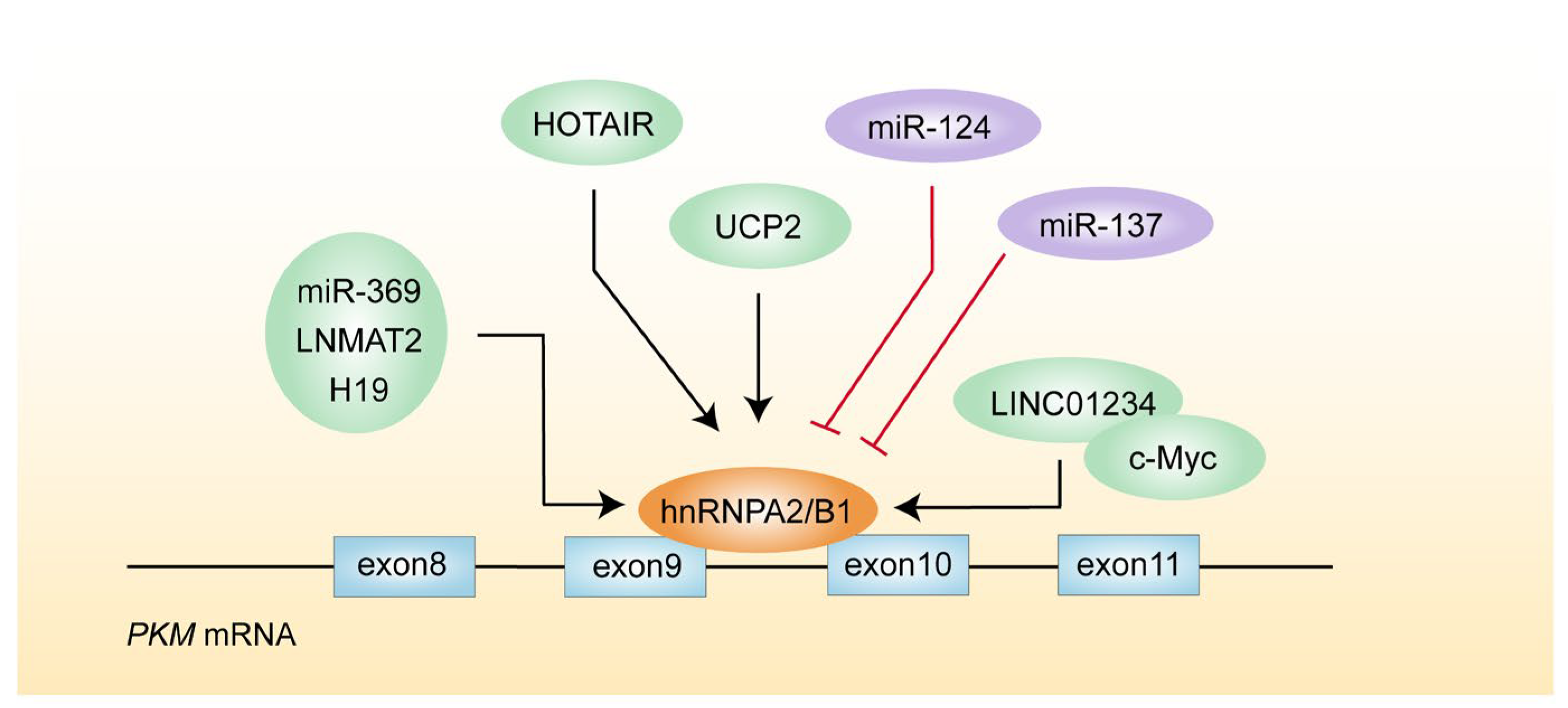 Biomolecules 14 00566 g003 Biomolecules 14 00566 g003