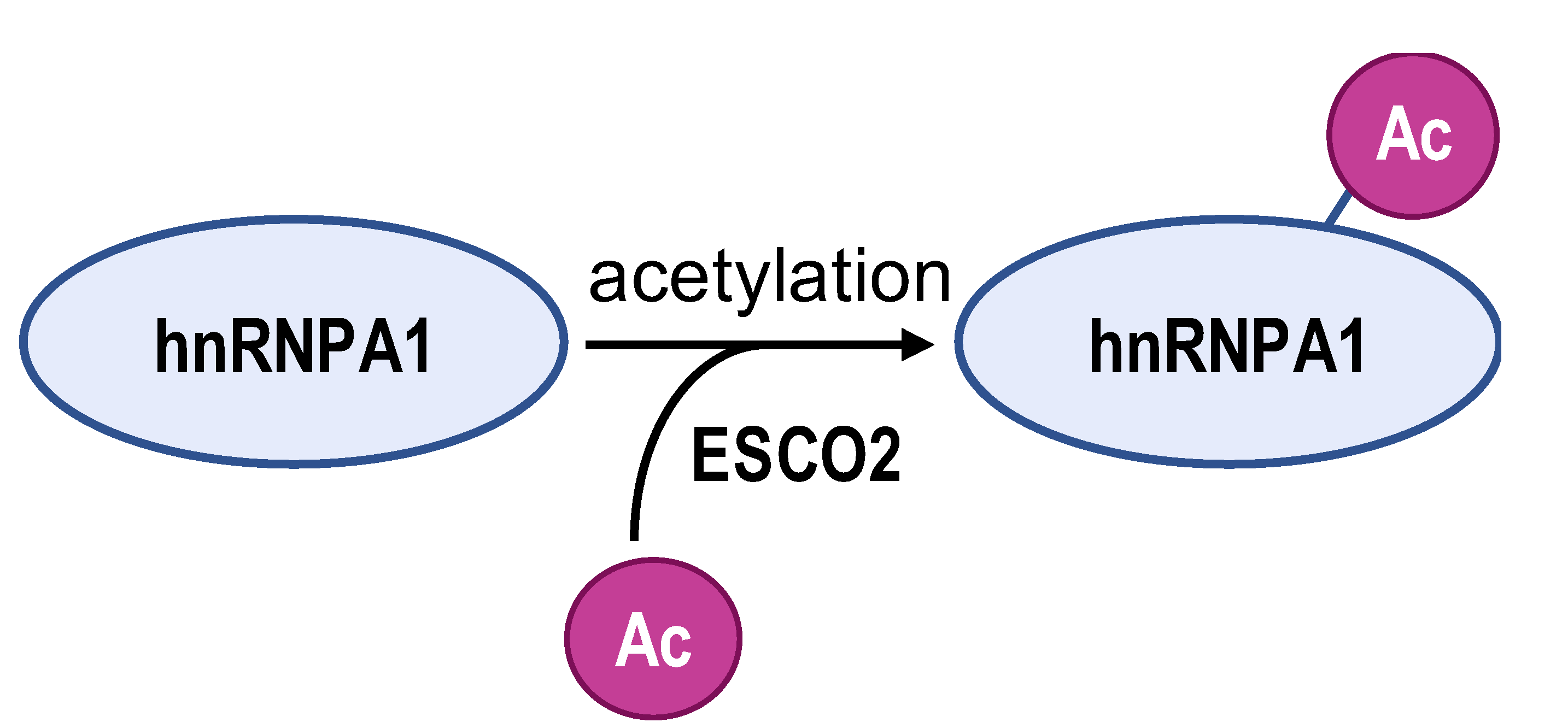 Biomolecules 14 00566 i001 Biomolecules 14 00566 i001