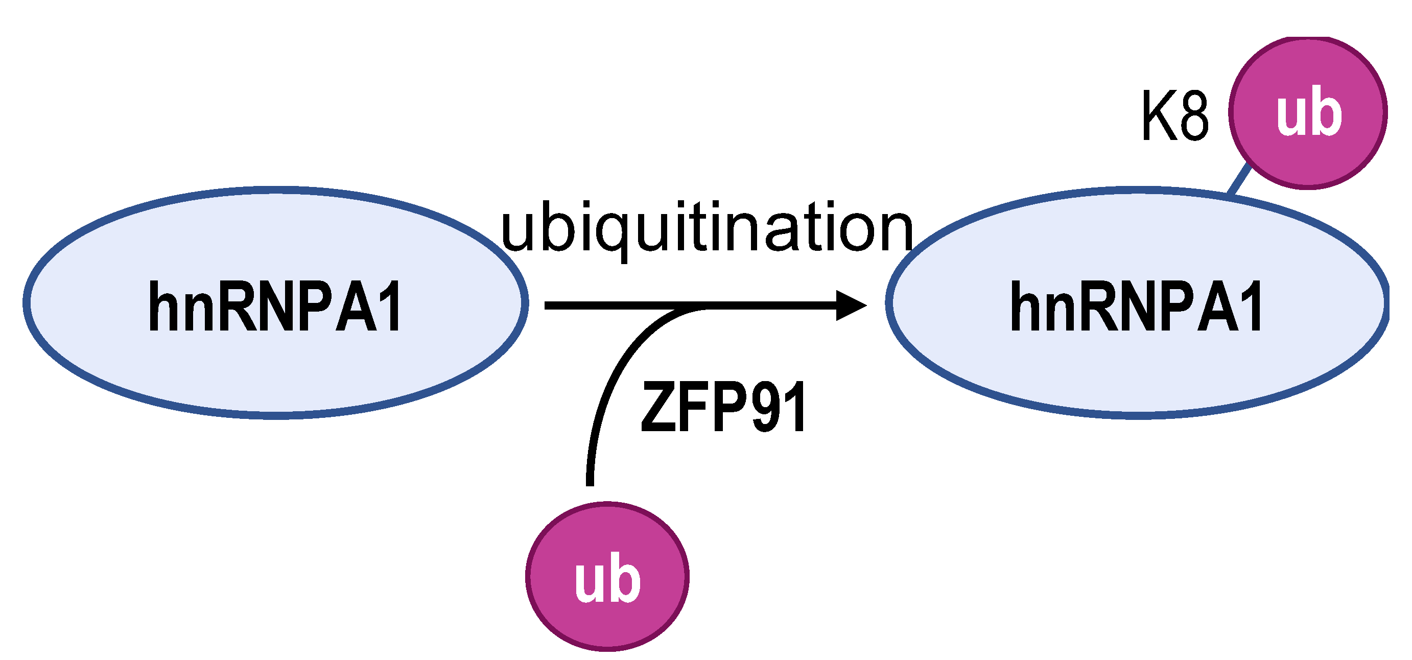 Biomolecules 14 00566 i004 Biomolecules 14 00566 i004