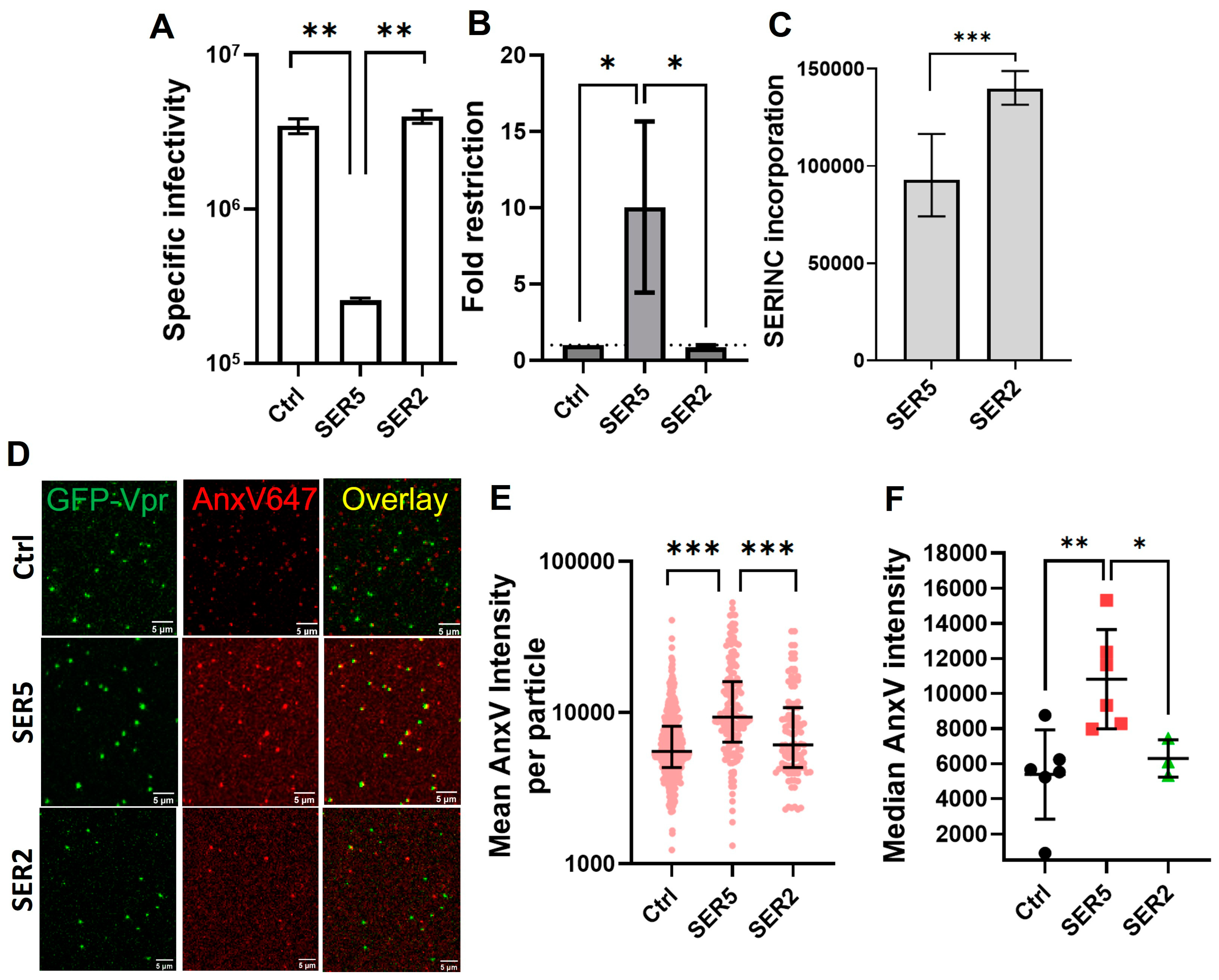 Biomolecules 14 00570 g001
