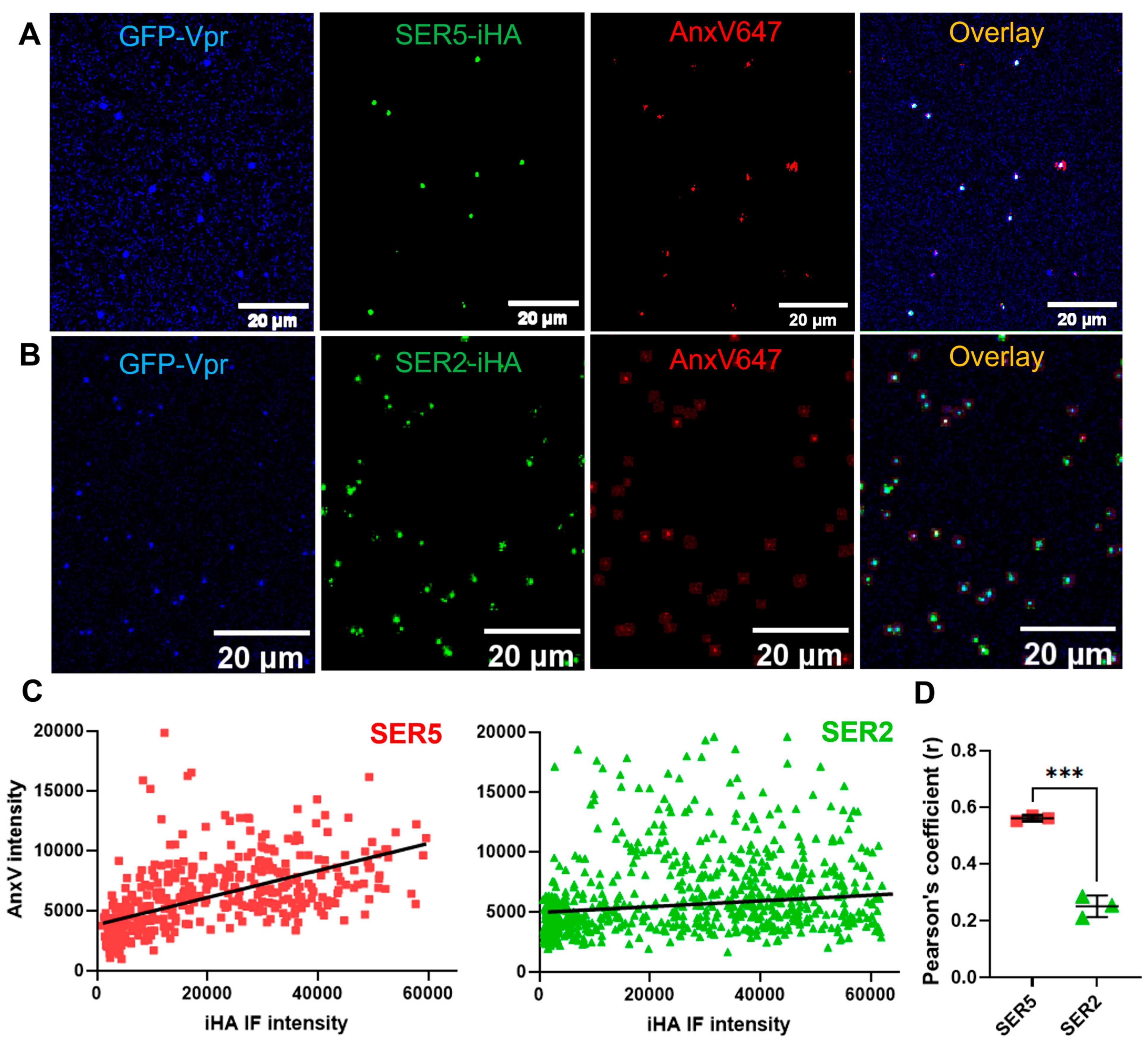 Biomolecules 14 00570 g002
