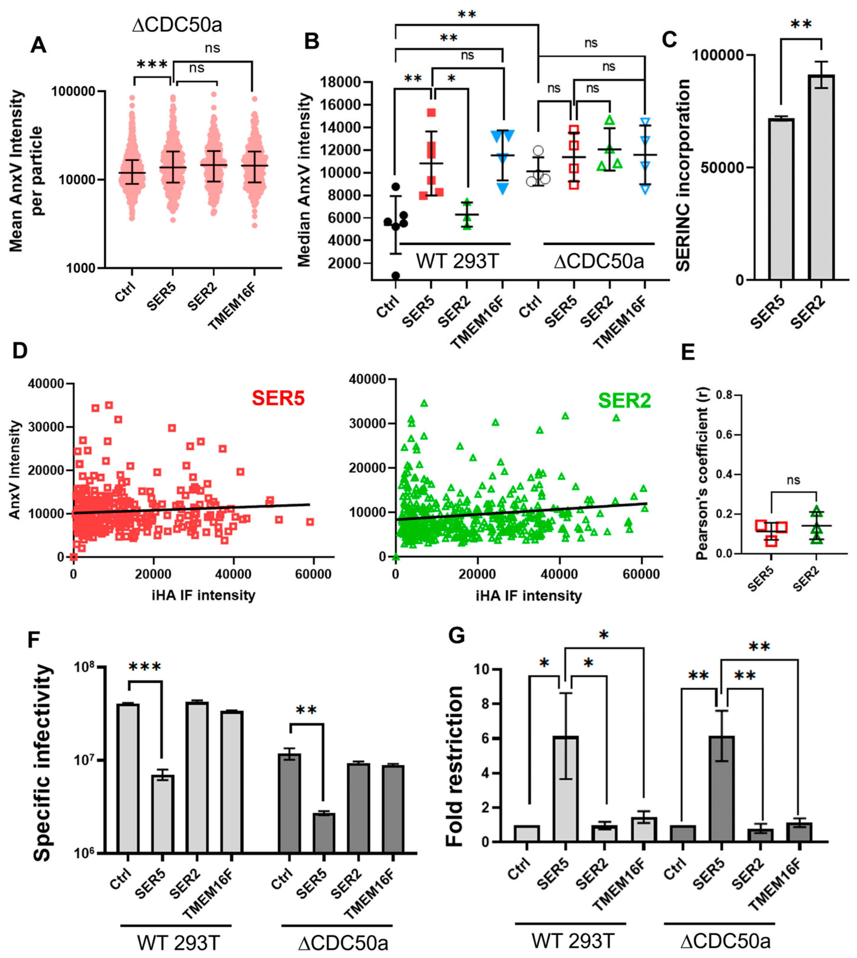 Biomolecules 14 00570 g005