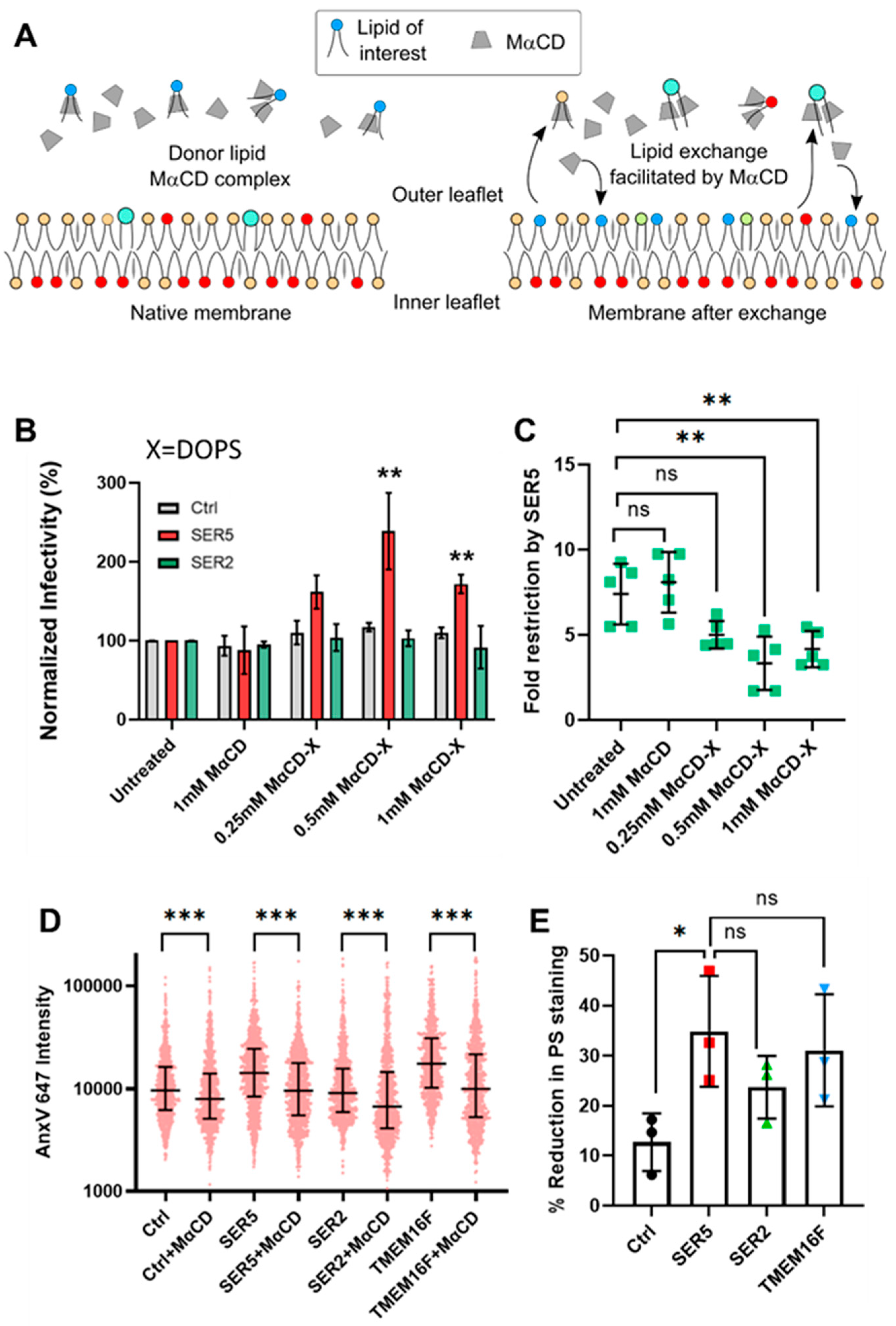 Biomolecules 14 00570 g006