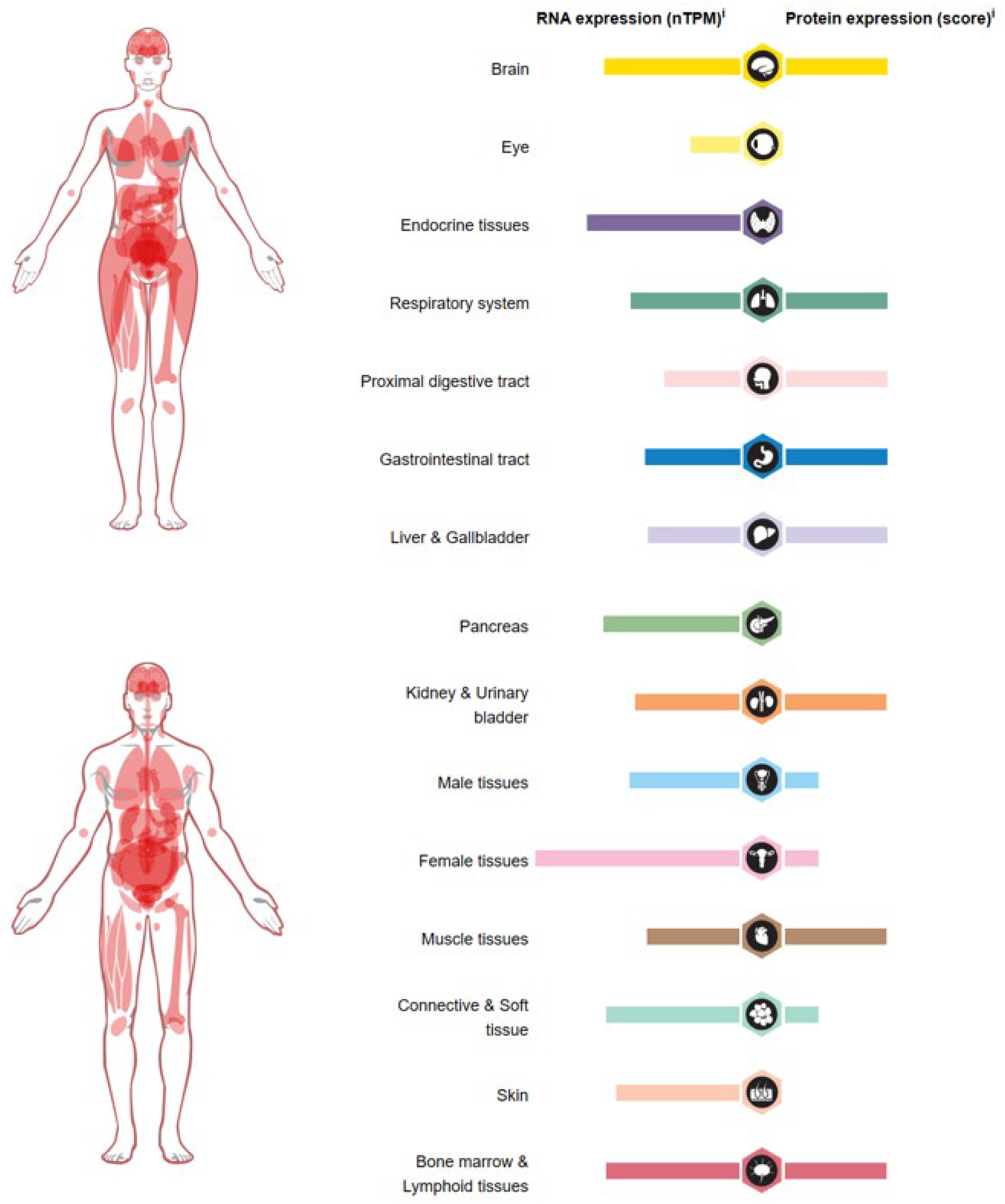 Biomolecules 14 00572 g004 Biomolecules 14 00572 g004