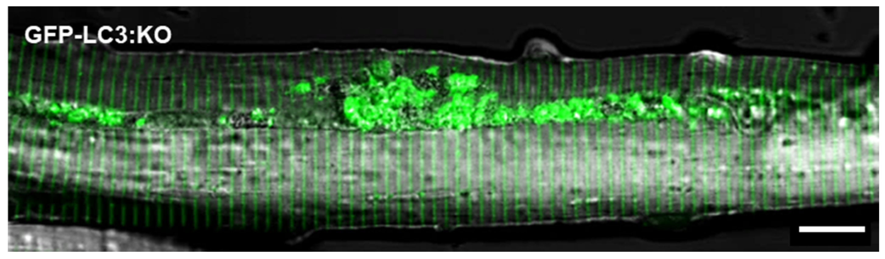 Biomolecules 14 00573 g002