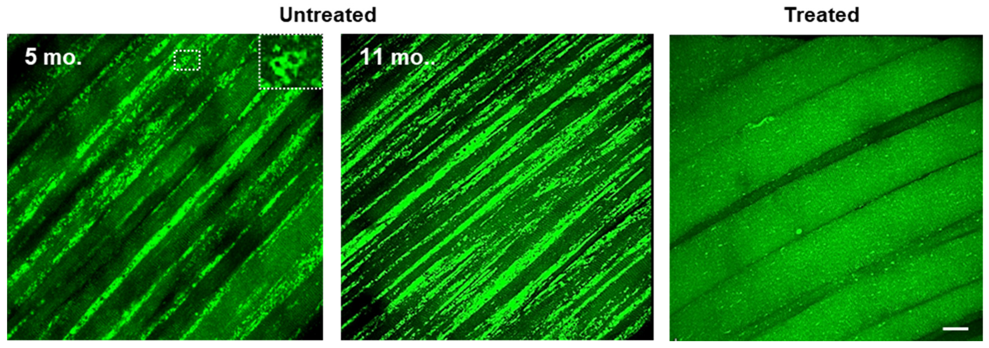 Biomolecules 14 00573 g003
