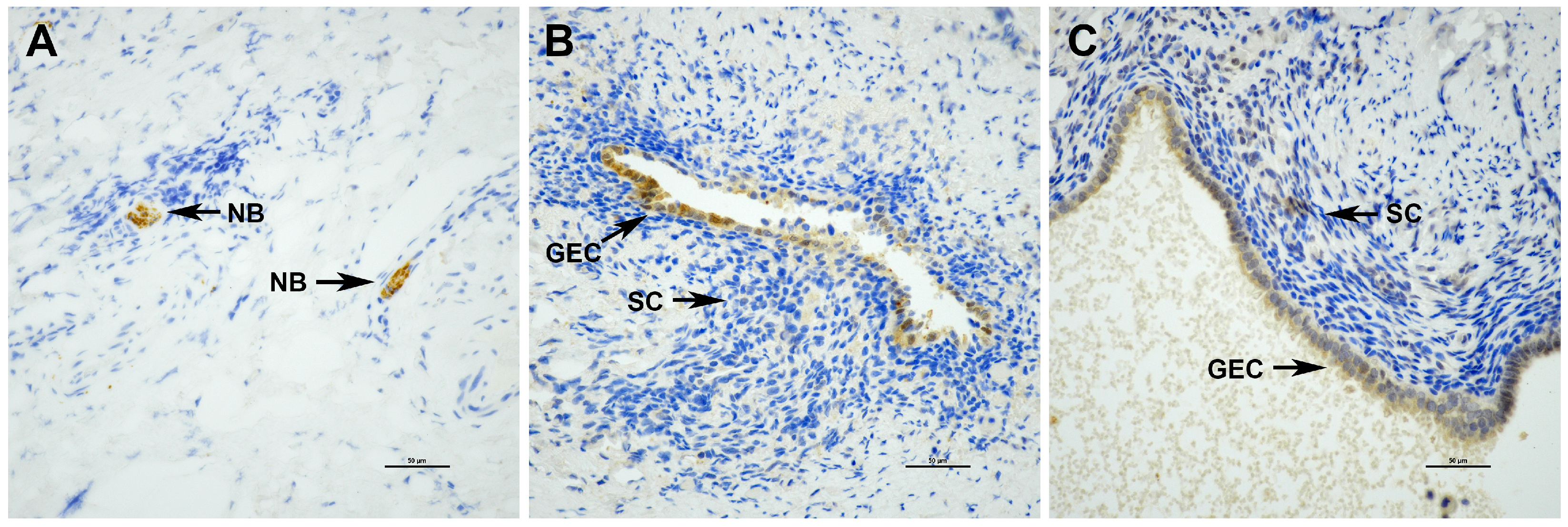 Biomolecules 14 00583 g002