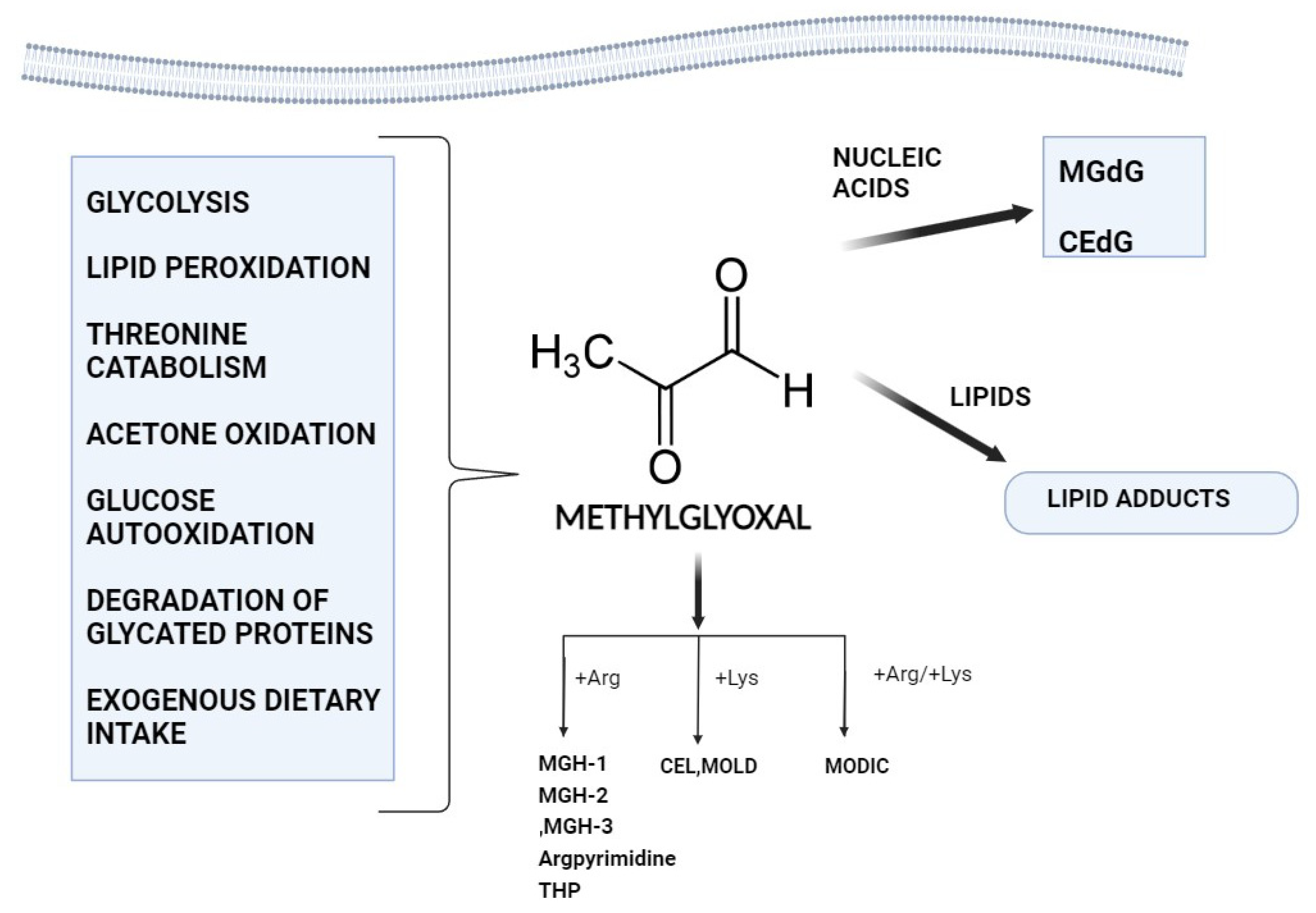 Biomolecules 14 00584 g001
