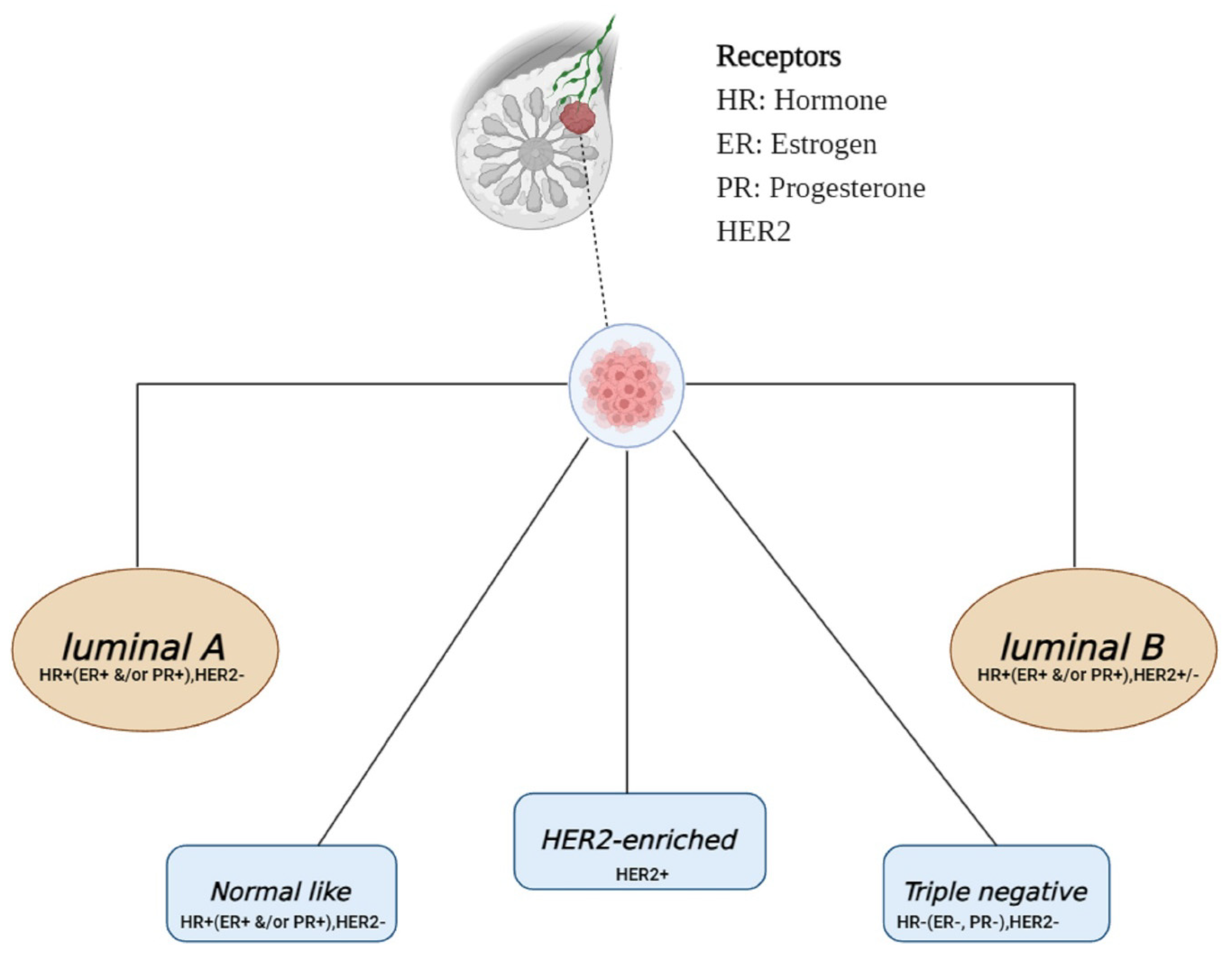 Biomolecules 14 00584 g003
