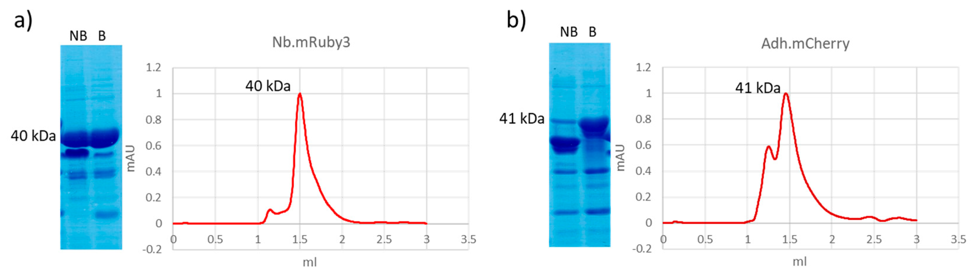 Biomolecules 14 00587 g002
