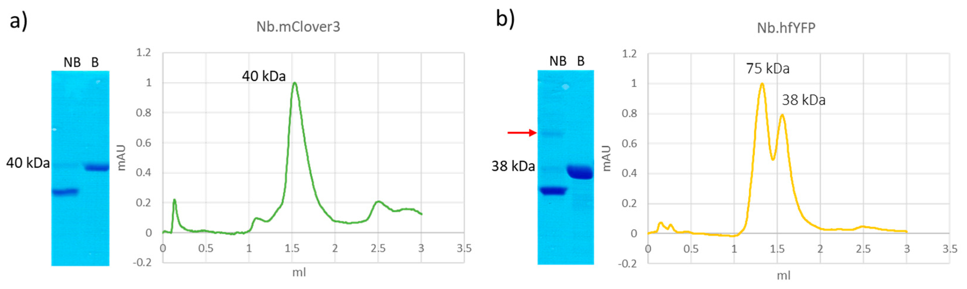 Biomolecules 14 00587 g003