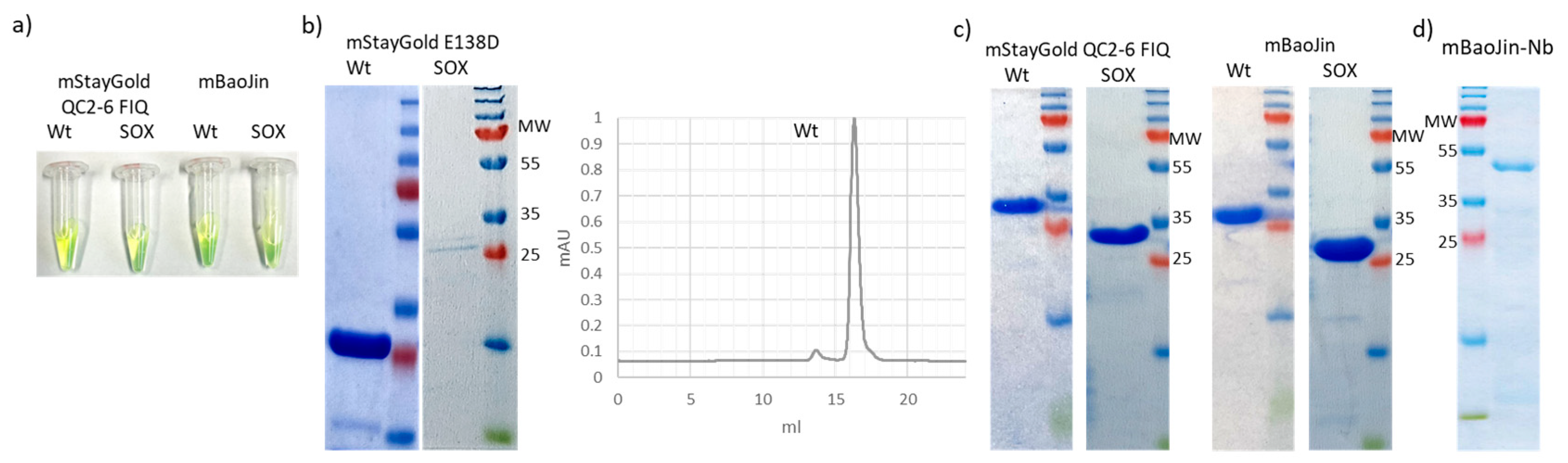 Biomolecules 14 00587 g004