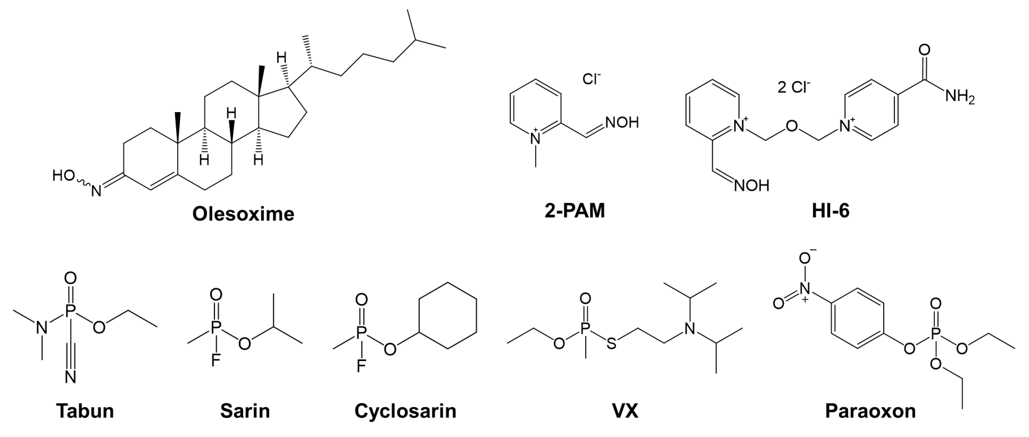 Biomolecules 14 00588 g001