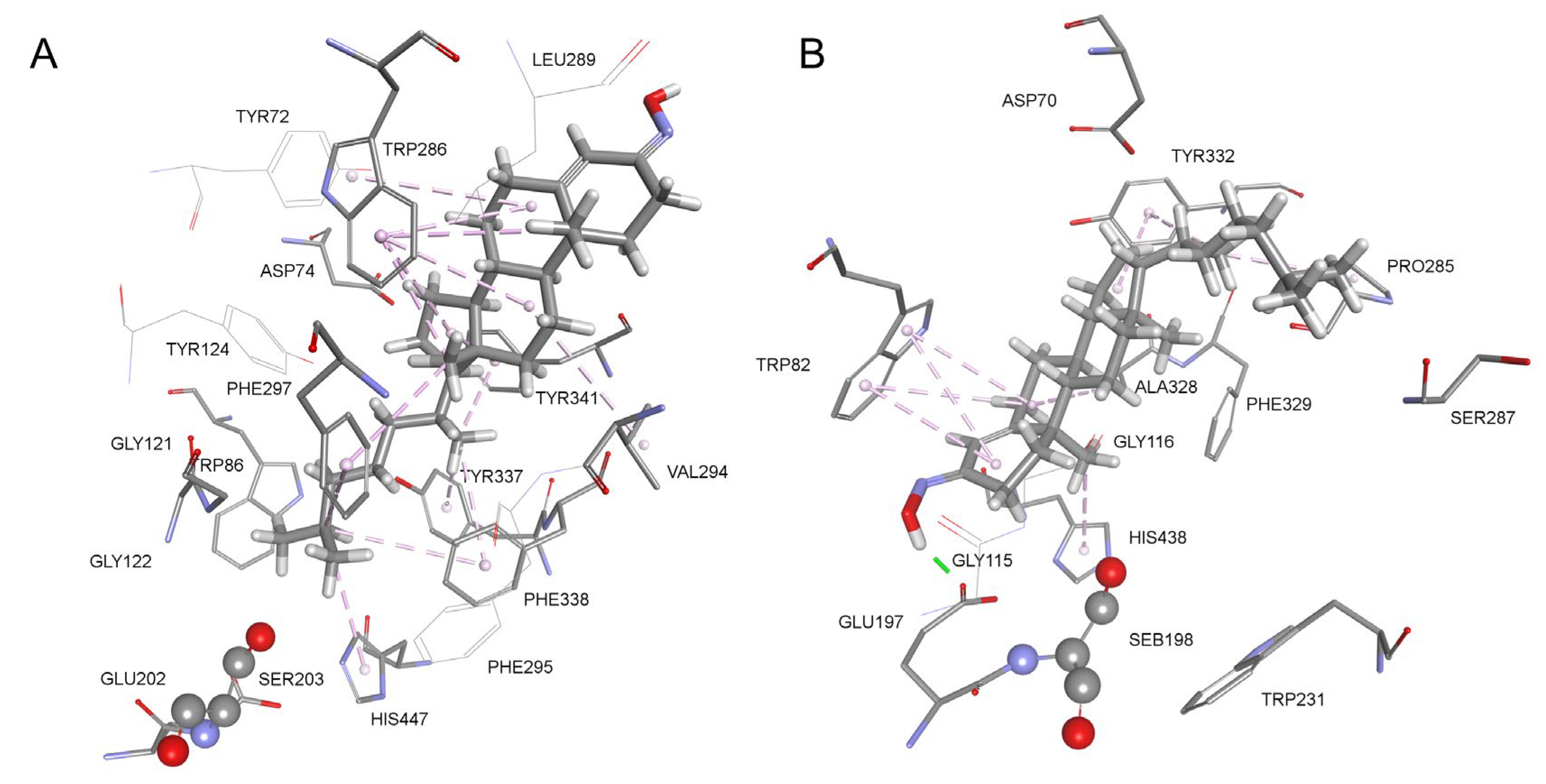 Biomolecules 14 00588 g003