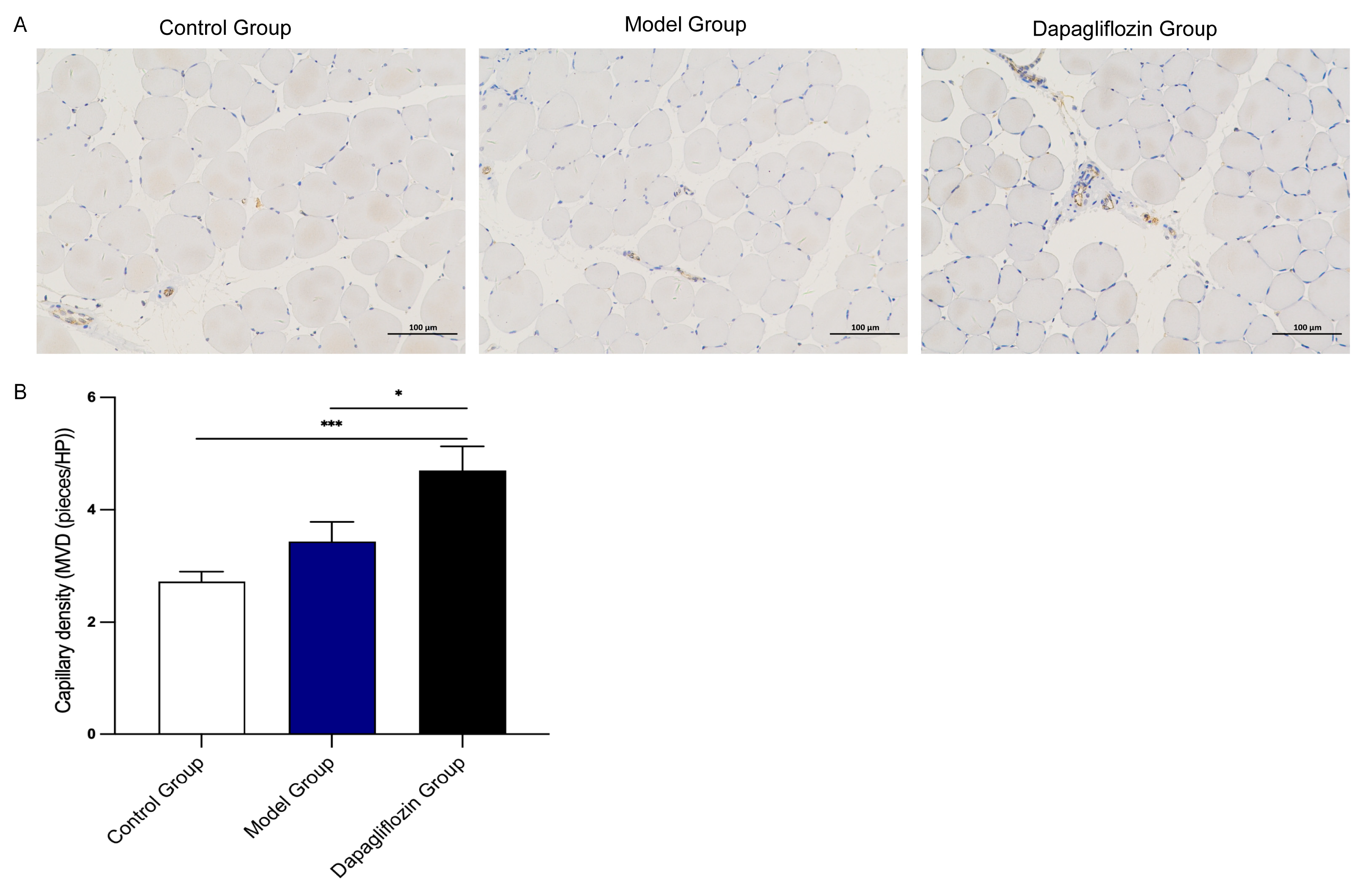 Biomolecules 14 00592 g002