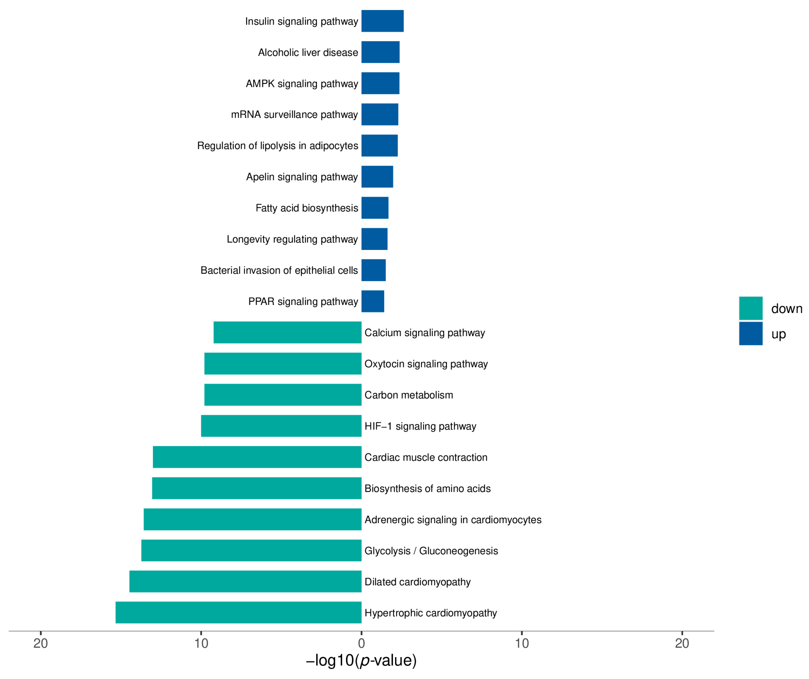 Biomolecules 14 00592 g003