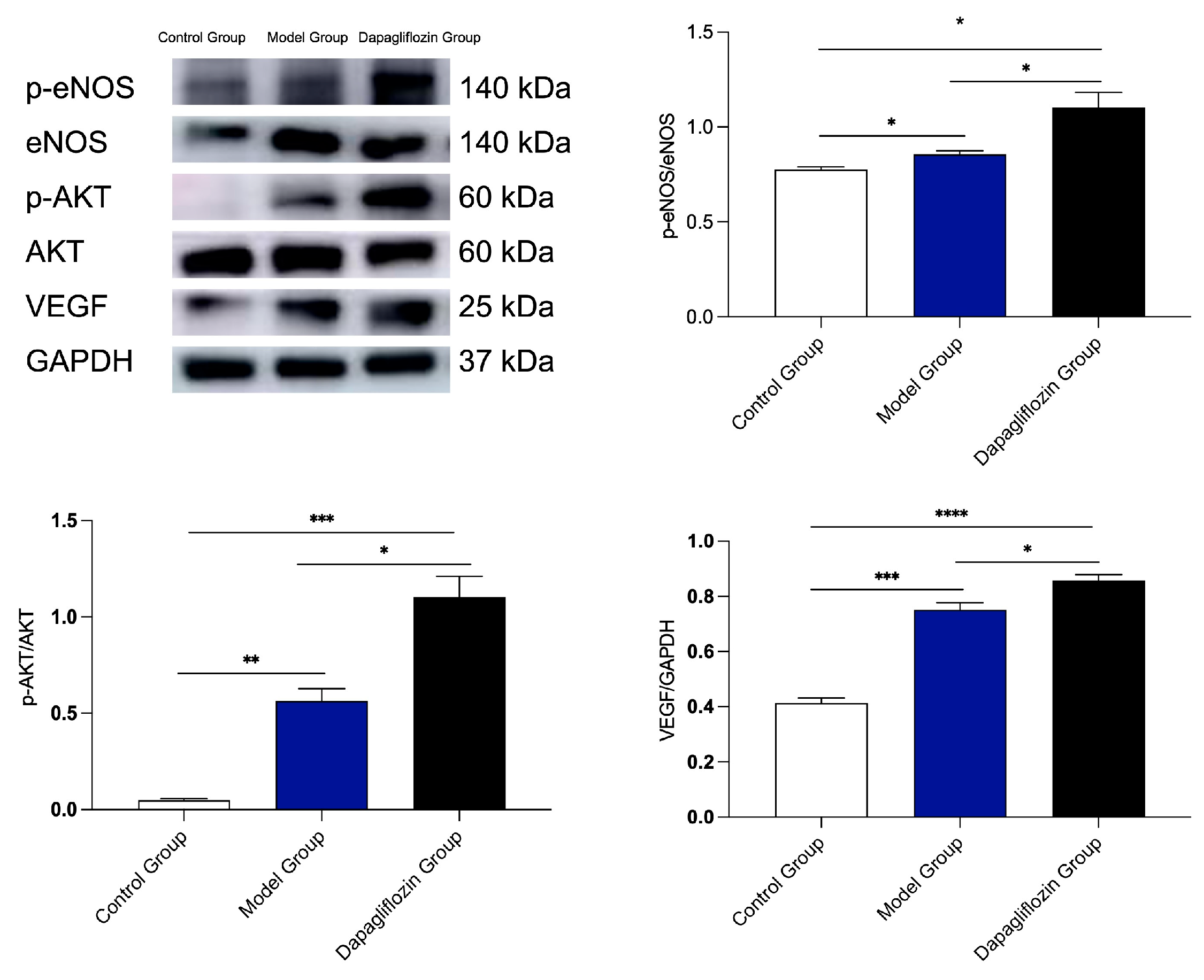 Biomolecules 14 00592 g004