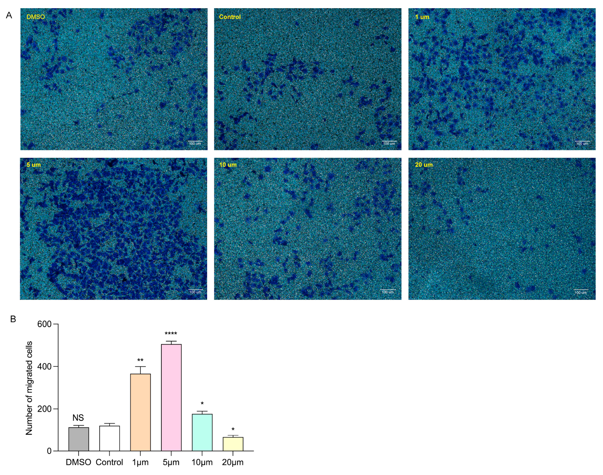 Biomolecules 14 00592 g006