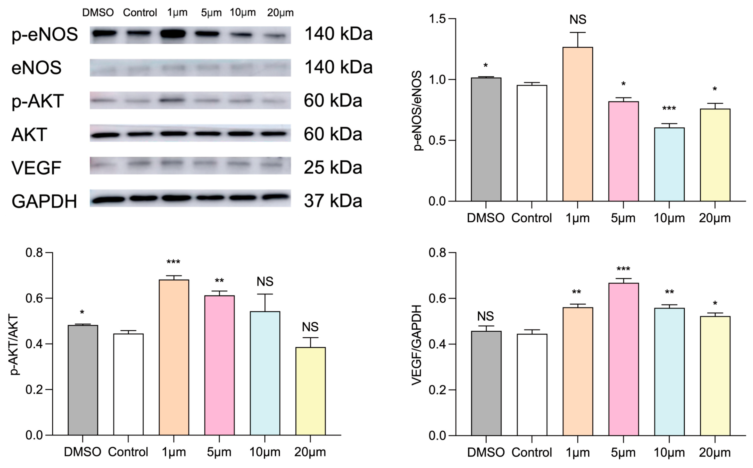 Biomolecules 14 00592 g008