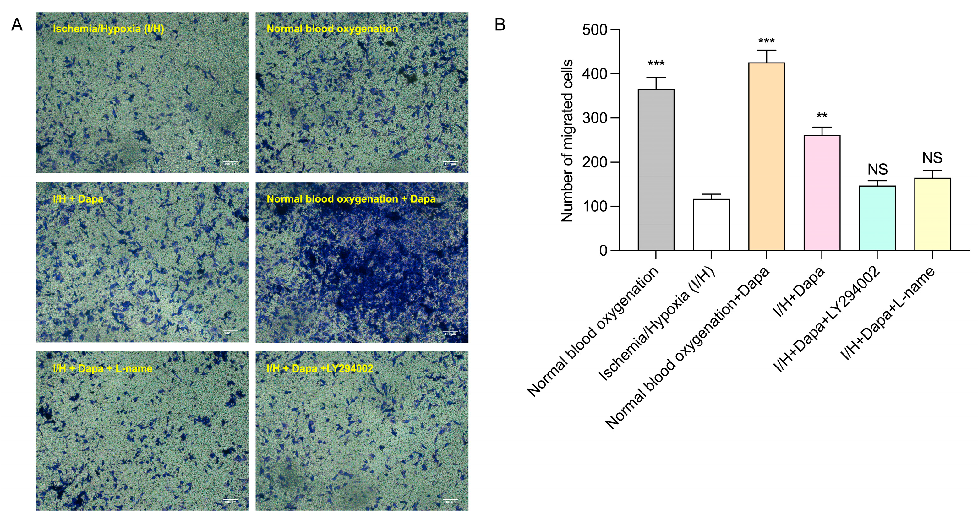 Biomolecules 14 00592 g010