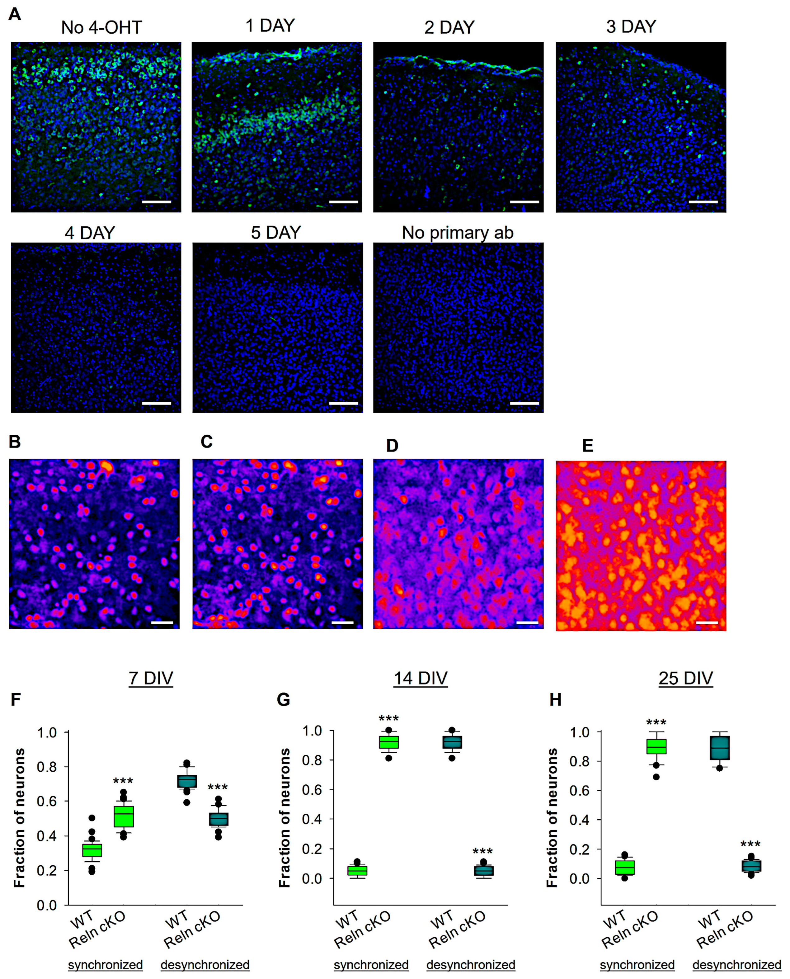 Biomolecules 14 00593 g002 Biomolecules 14 00593 g002