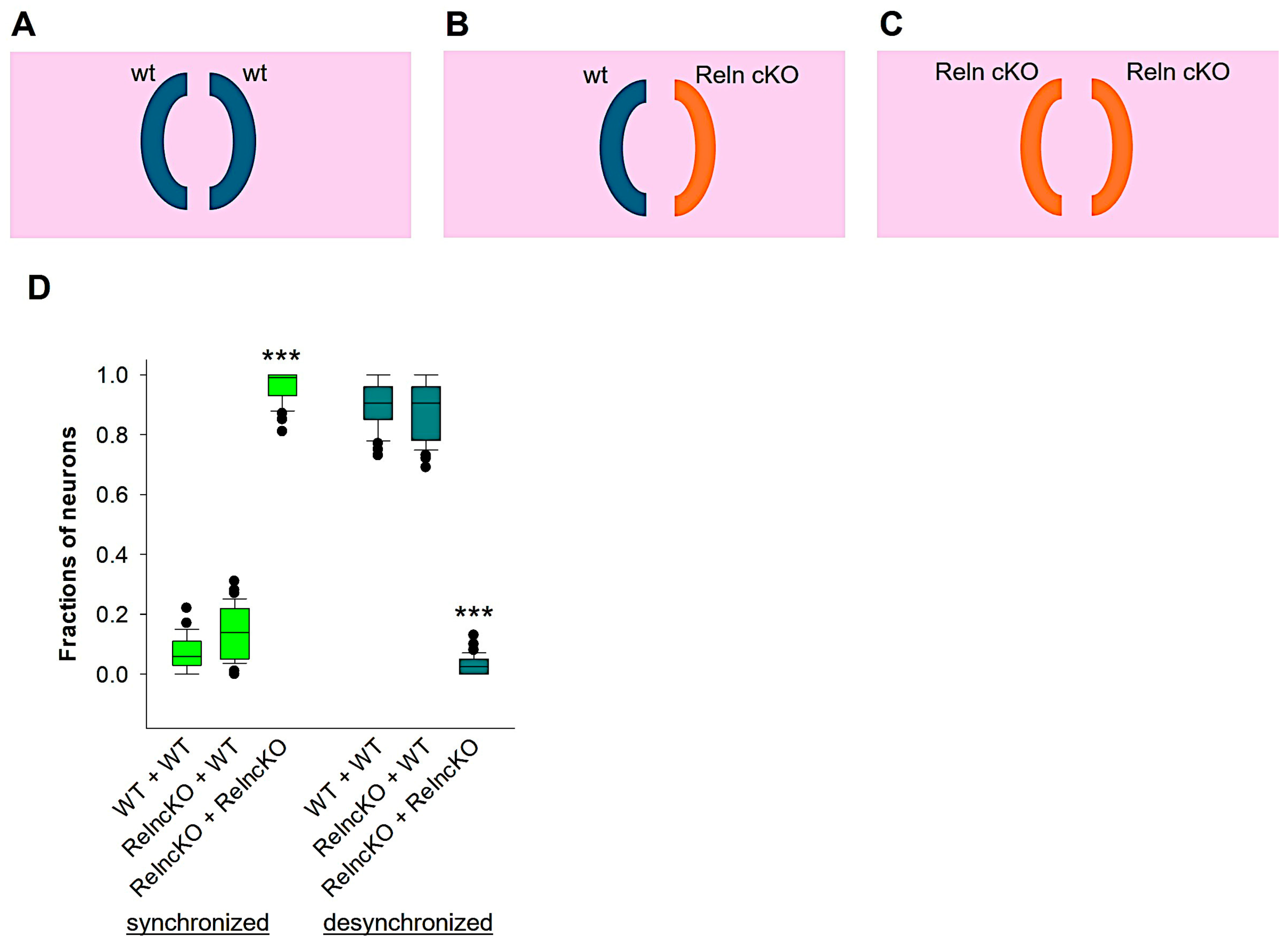 Biomolecules 14 00593 g003 Biomolecules 14 00593 g003