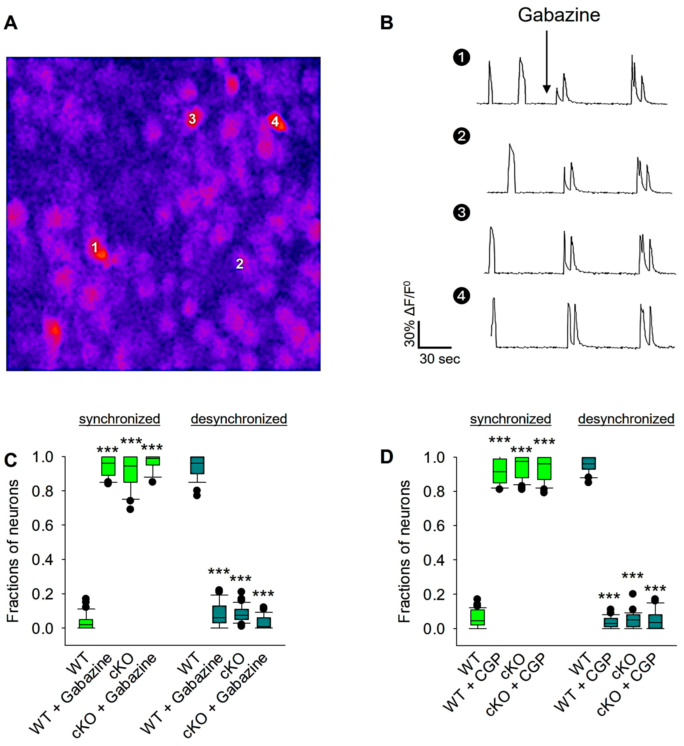 Biomolecules 14 00593 g006 Biomolecules 14 00593 g006