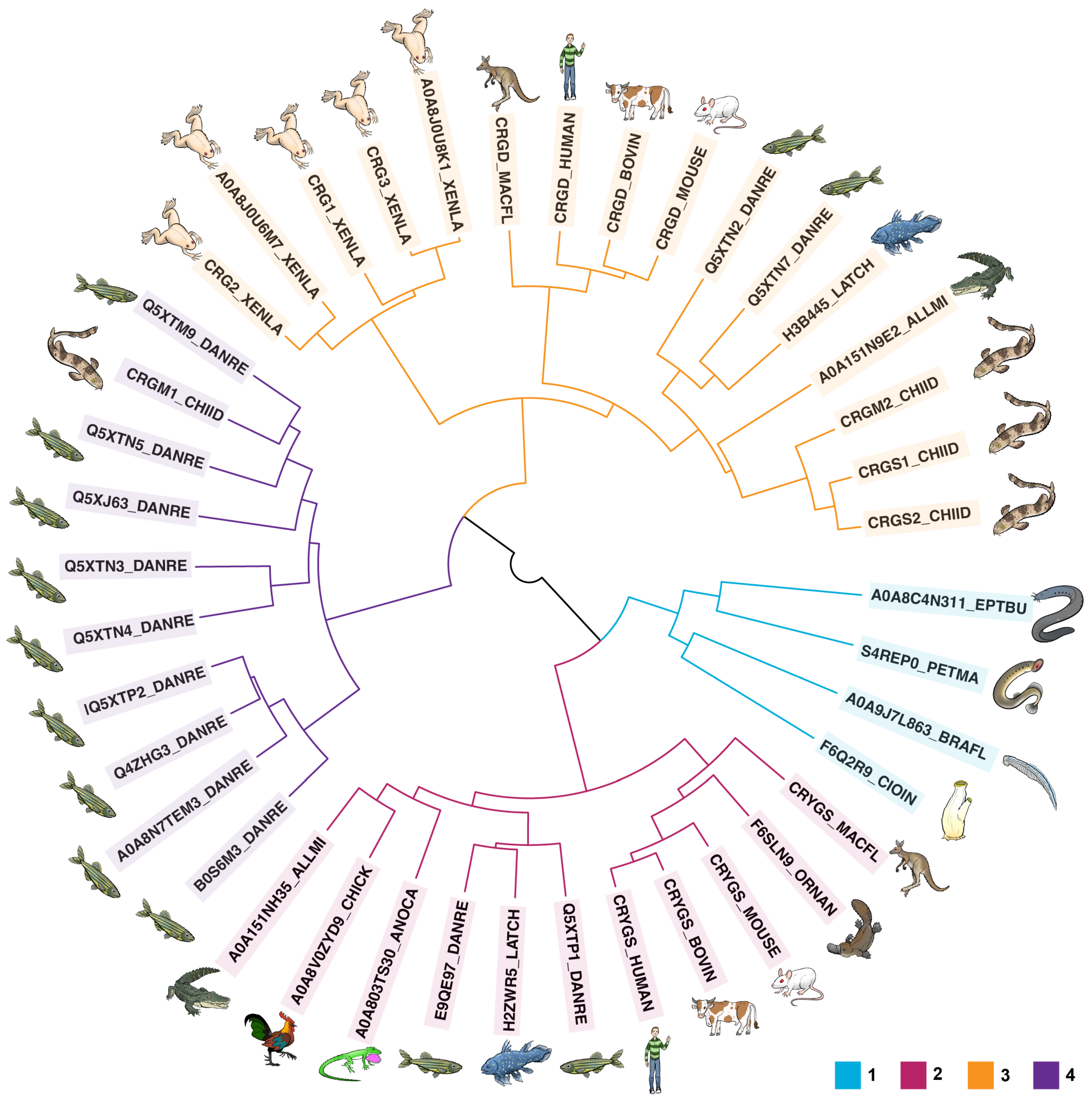 Biomolecules 14 00594 g001 Biomolecules 14 00594 g001