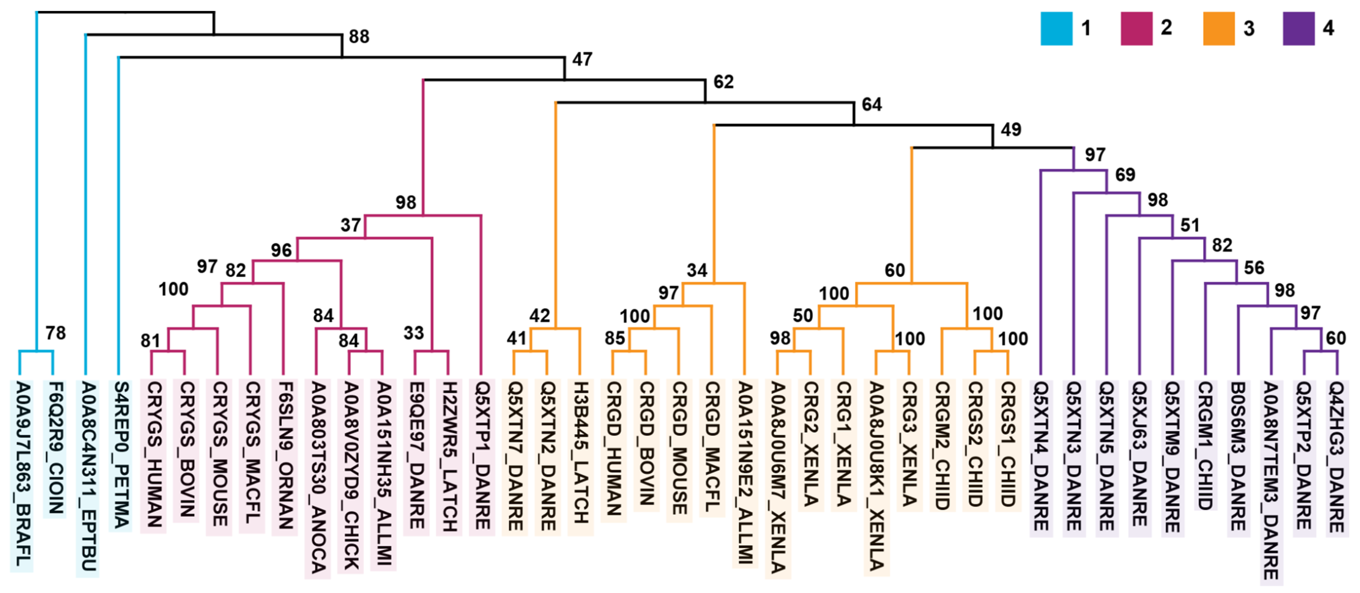 Biomolecules 14 00594 g002 Biomolecules 14 00594 g002