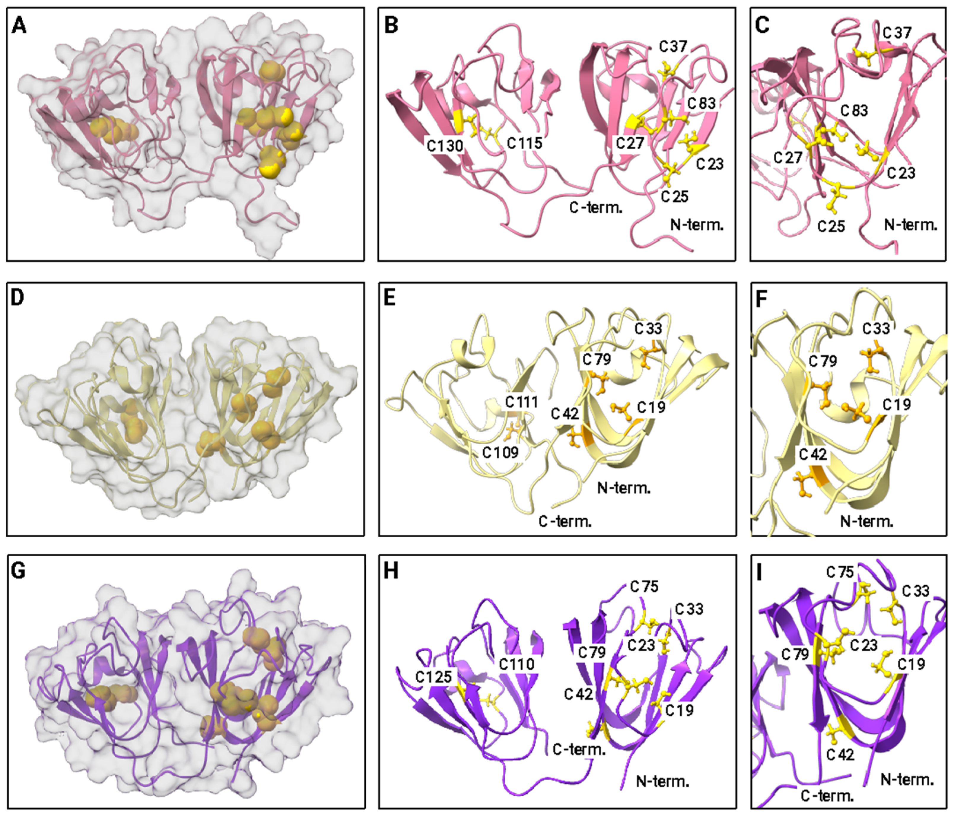 Biomolecules 14 00594 g004 Biomolecules 14 00594 g004