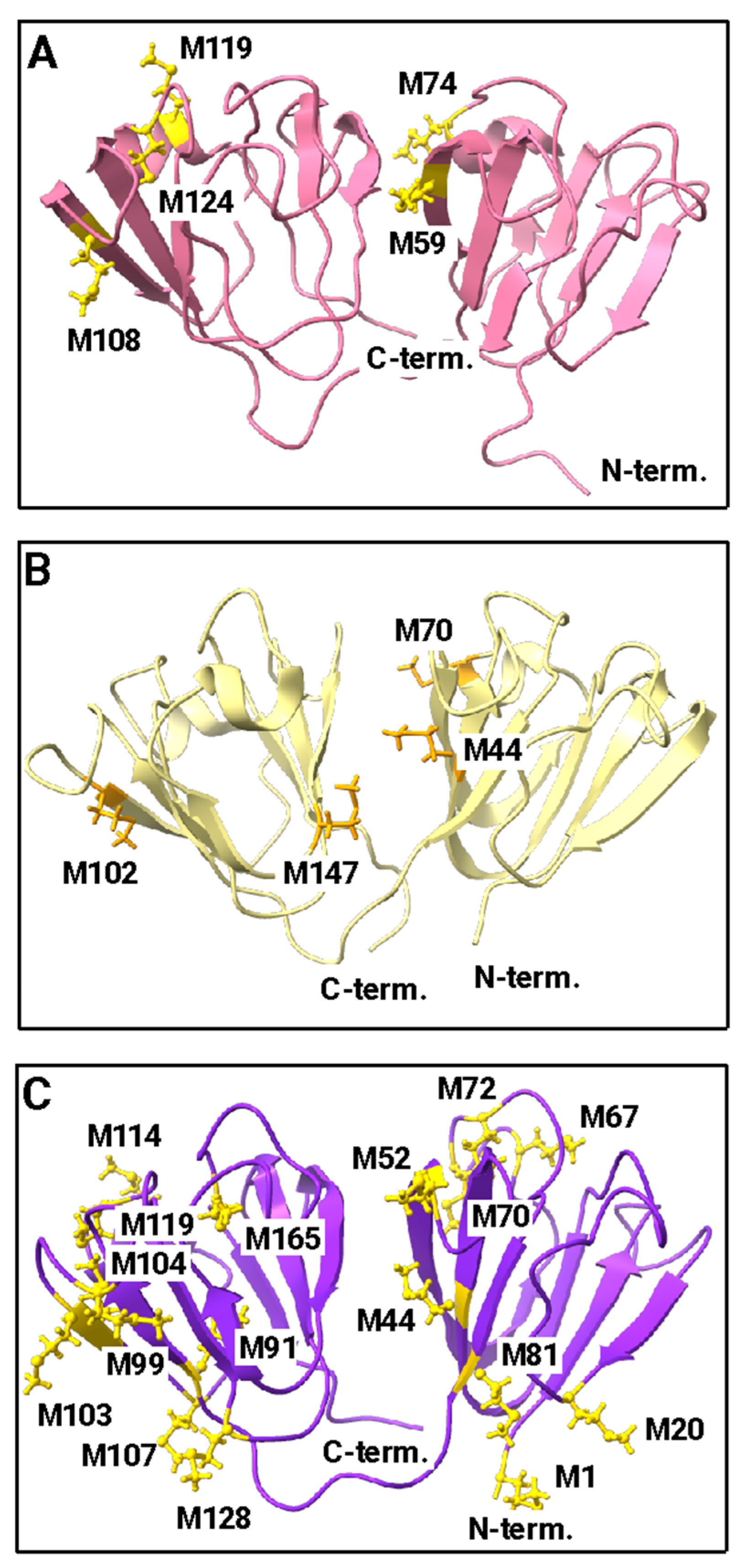 Biomolecules 14 00594 g005 Biomolecules 14 00594 g005