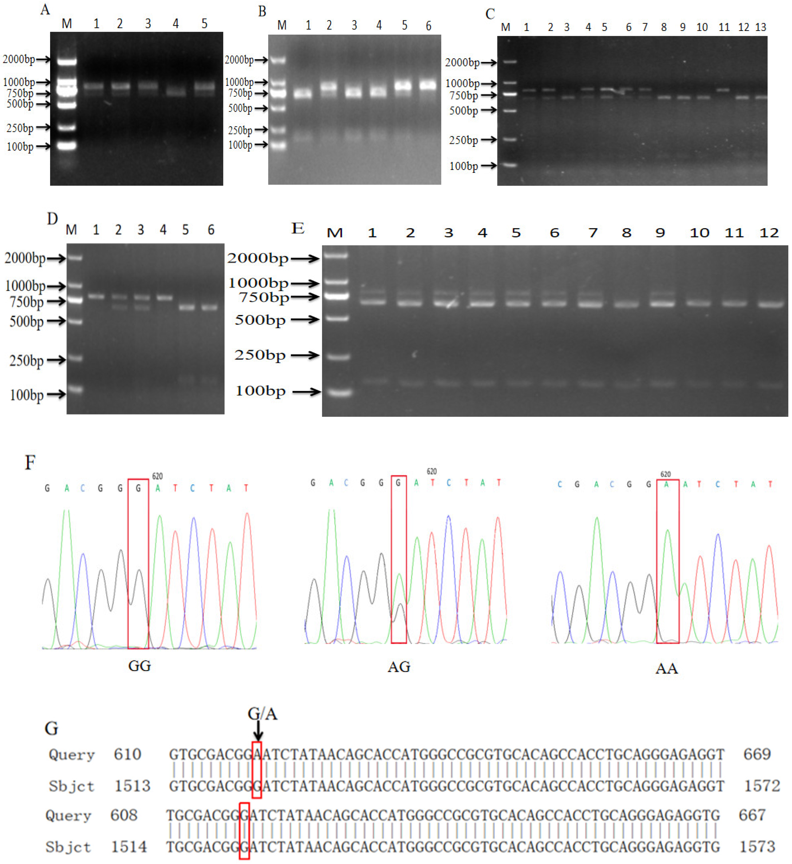 Biomolecules 14 00595 g001