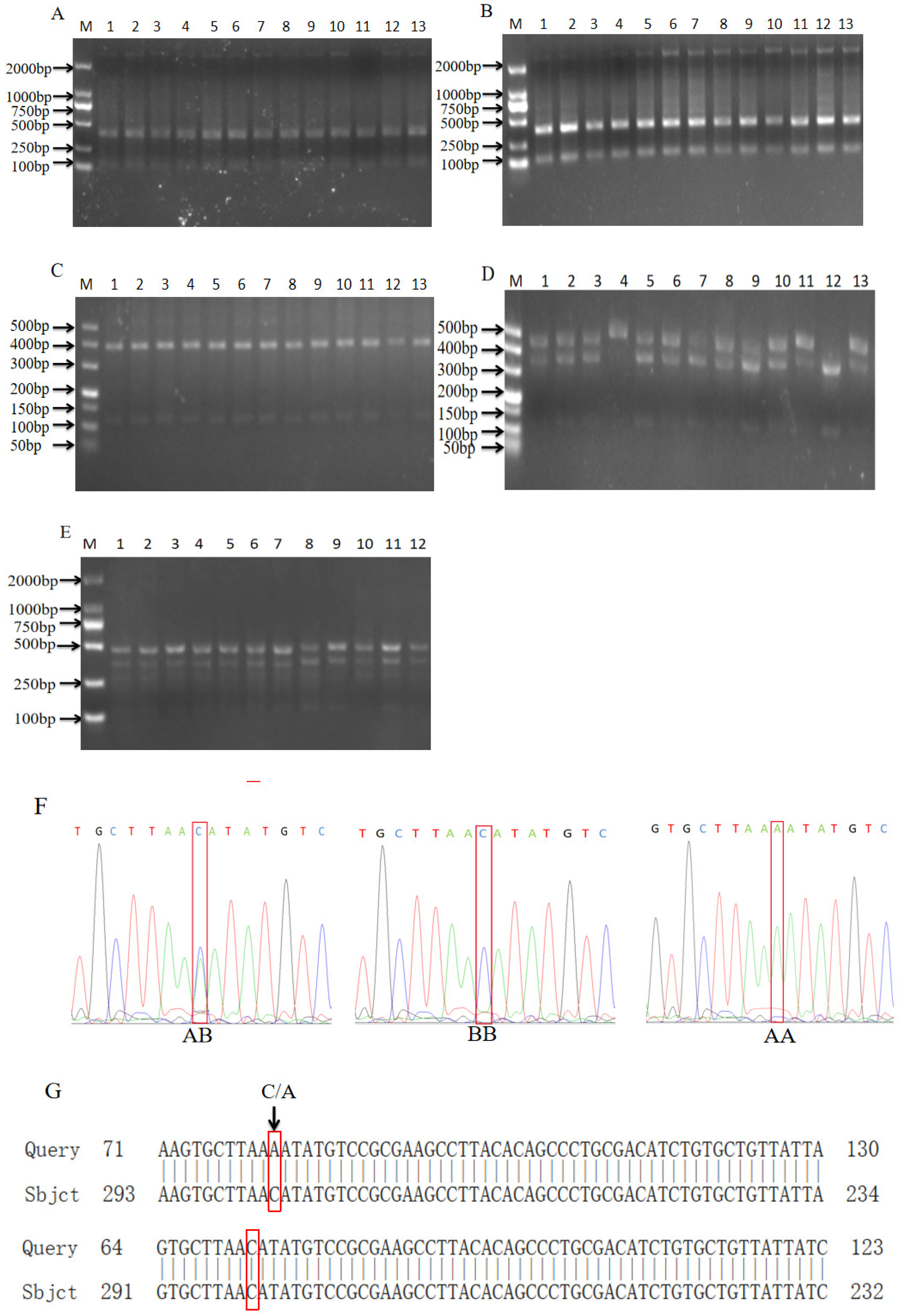 Biomolecules 14 00595 g003