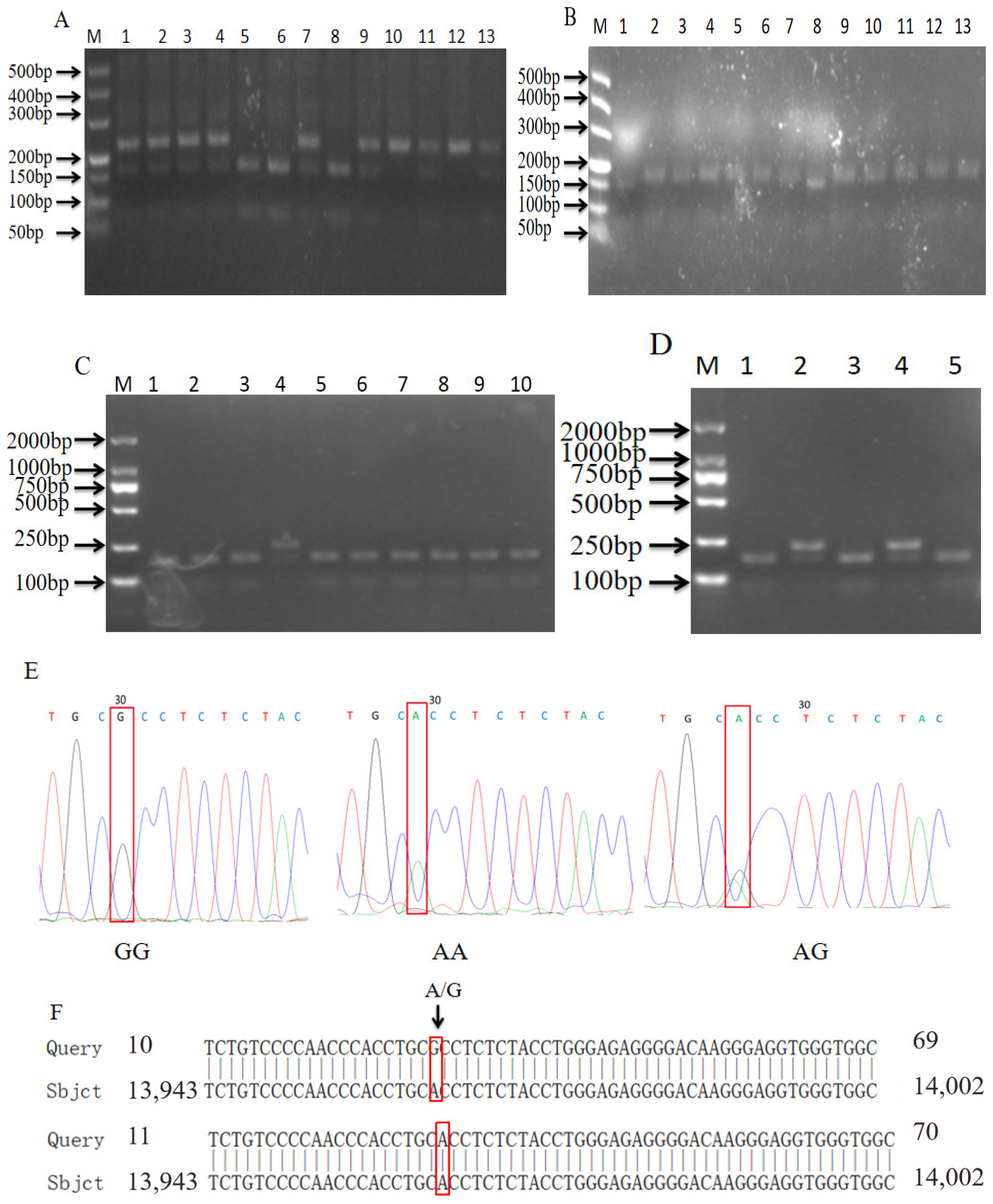 Biomolecules 14 00595 g004
